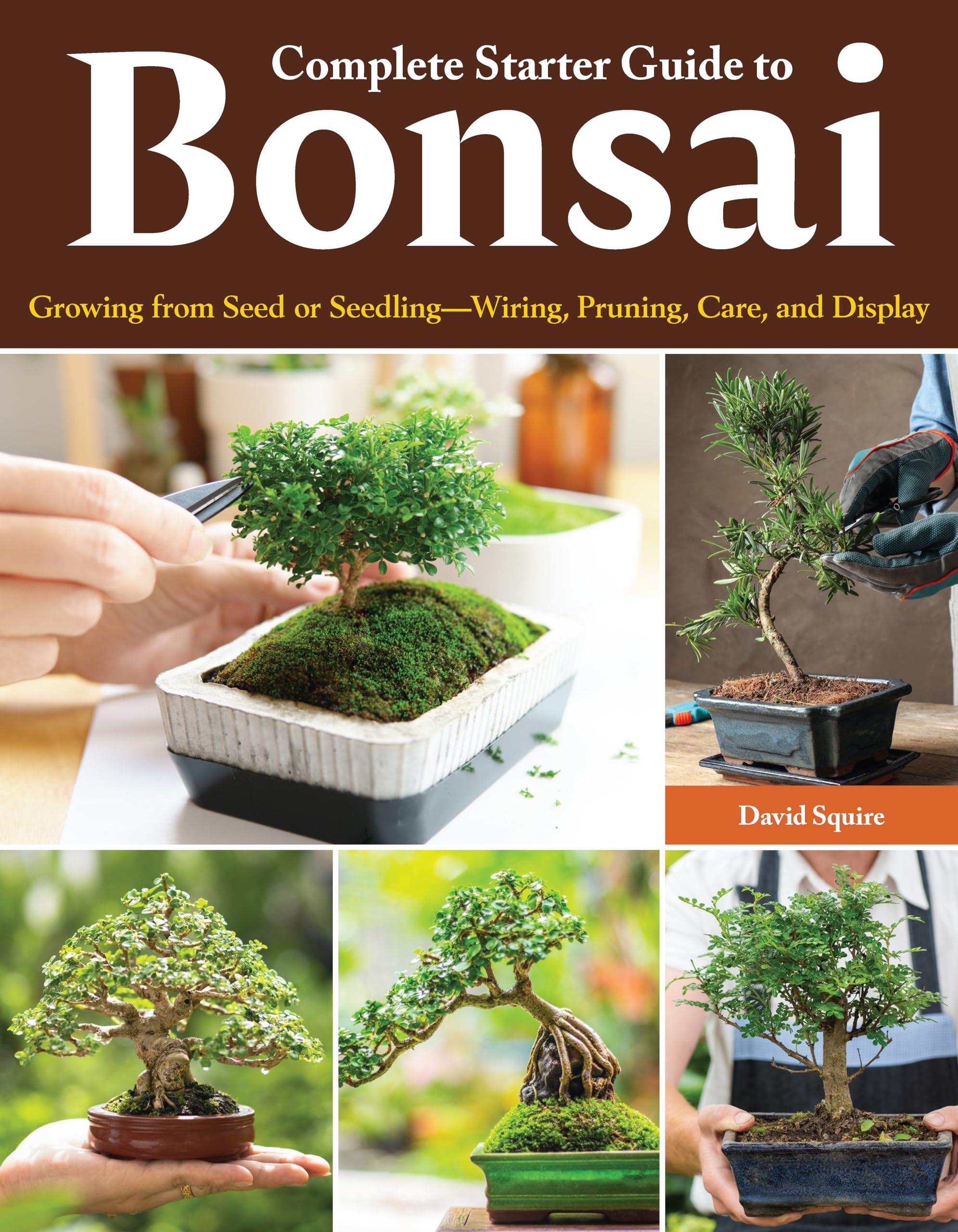 Complete Starter Guide To Bonsai: Growing From Seed Or SeedlingWiring, Pruning, Care, And Display