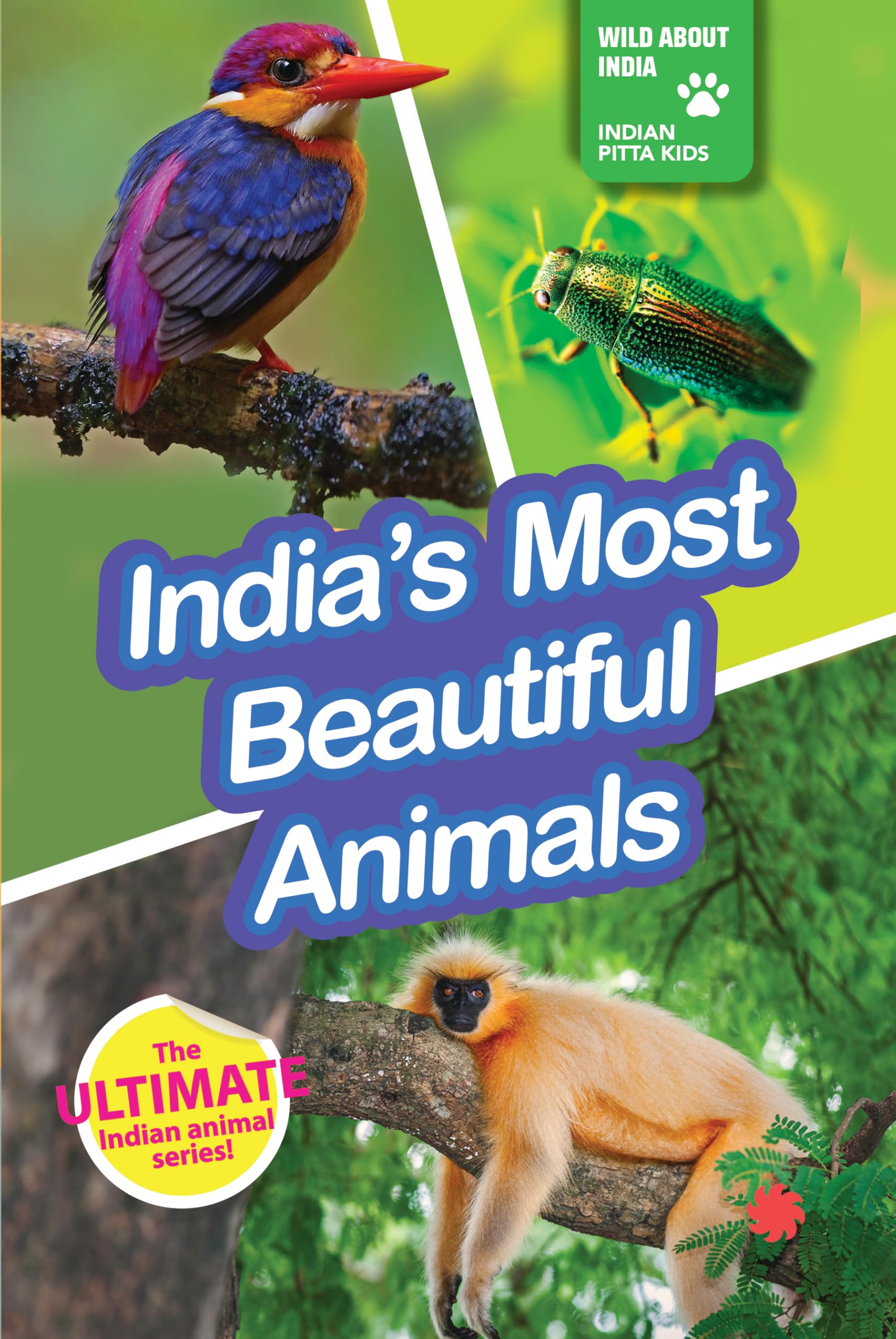 Indias Most Beautiful Animals
