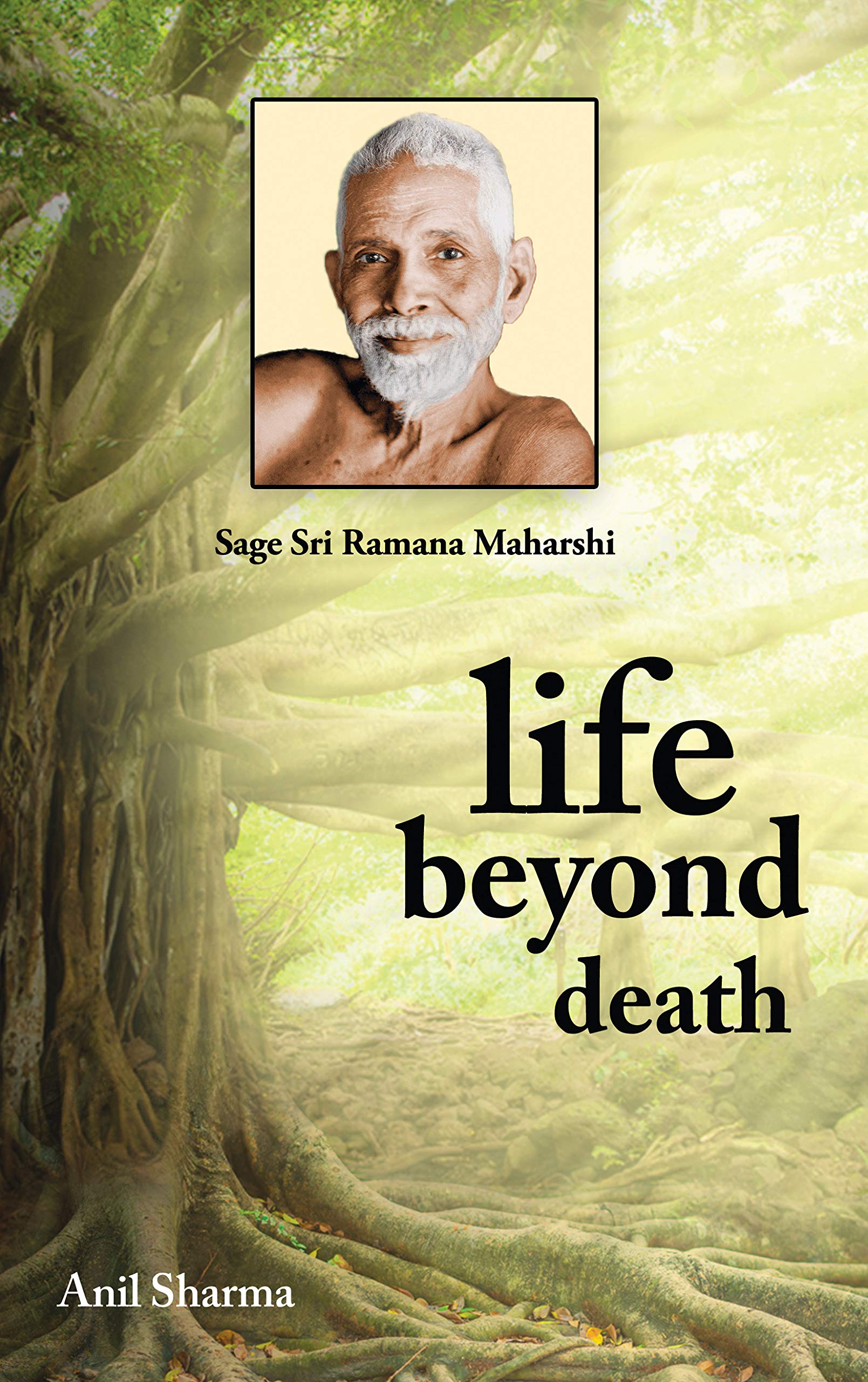 life beyond death (English, Sharma Anil)