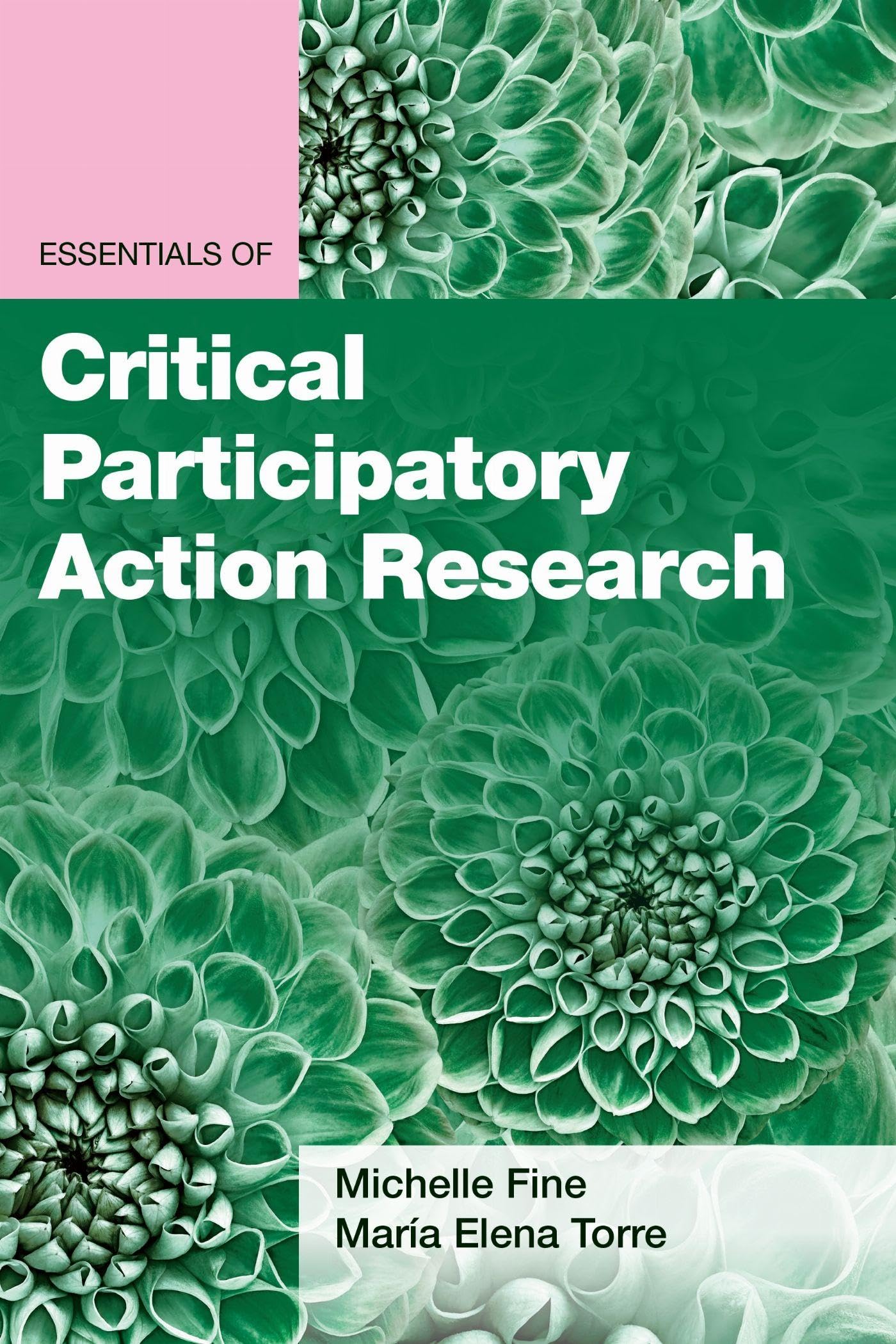 Essentials Of Critical Participatory Action Research: Prevention