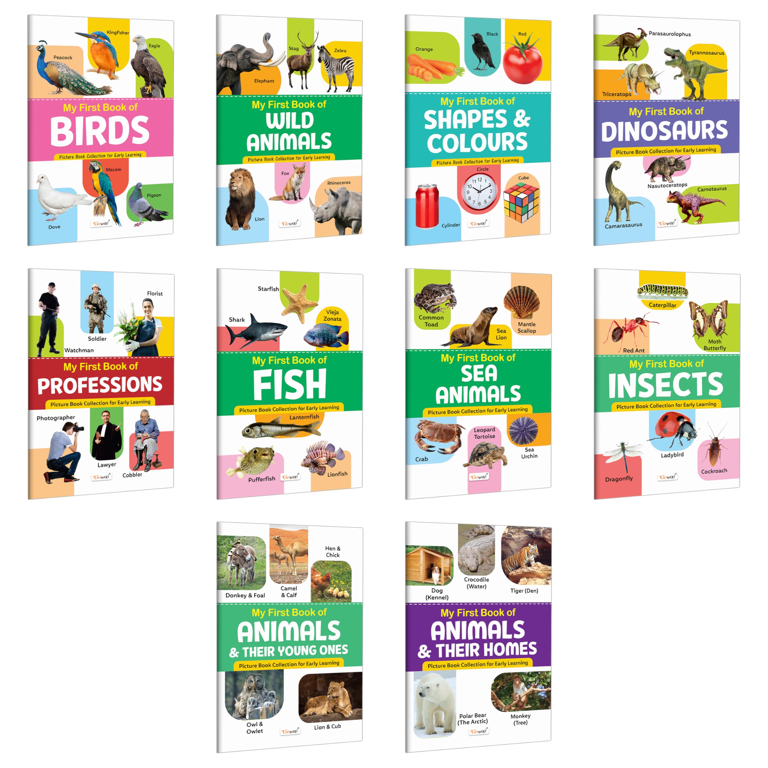 My First Book of Birds, Wild Animals, Shapes & Colours, Dinosaurs and more : identification books for children, toddler visual 
