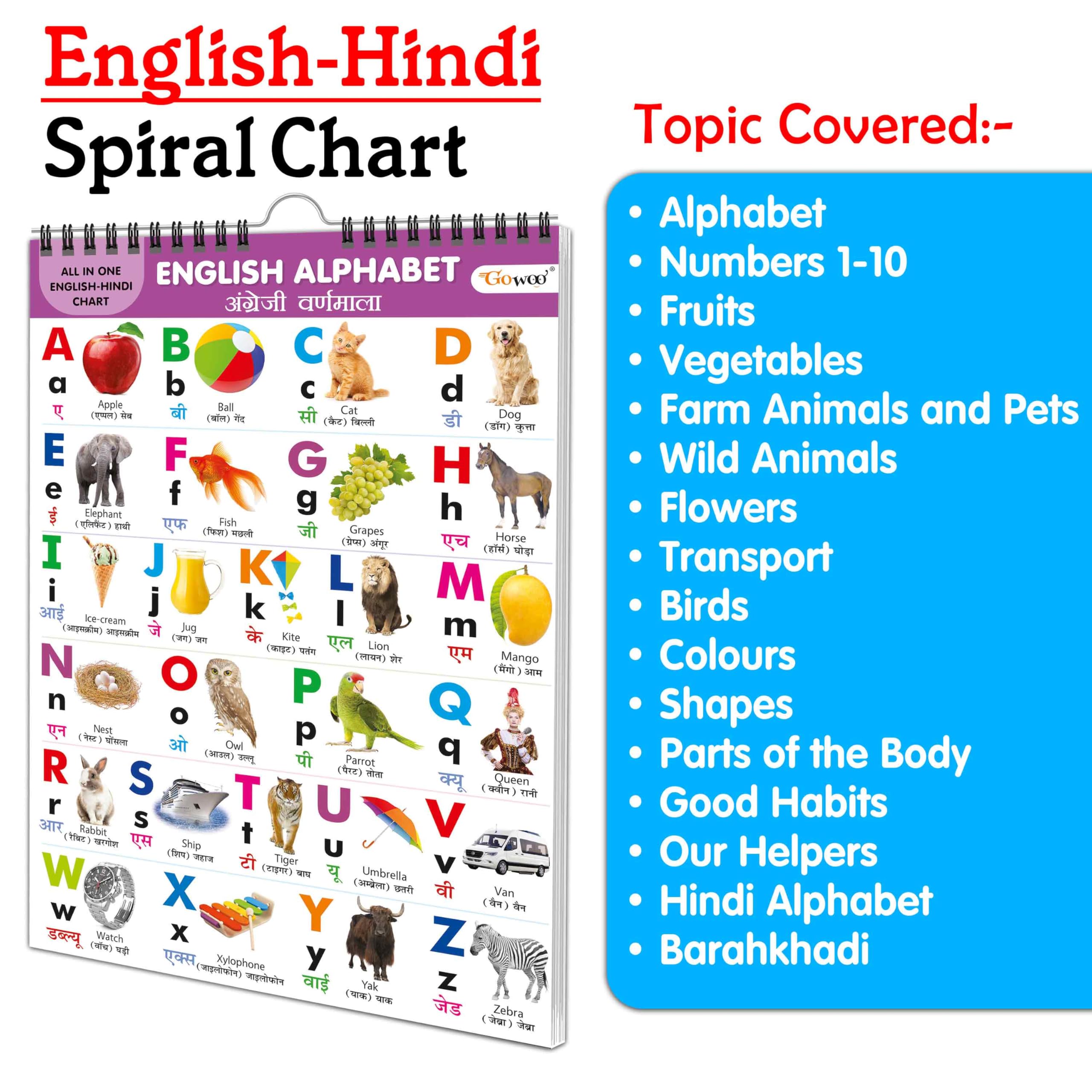 Childrens educational Chart collection : My First ALL IN ONE SPIRAL CHART ENGLISHHINDI Learning Chart for preschoolers, Educa
