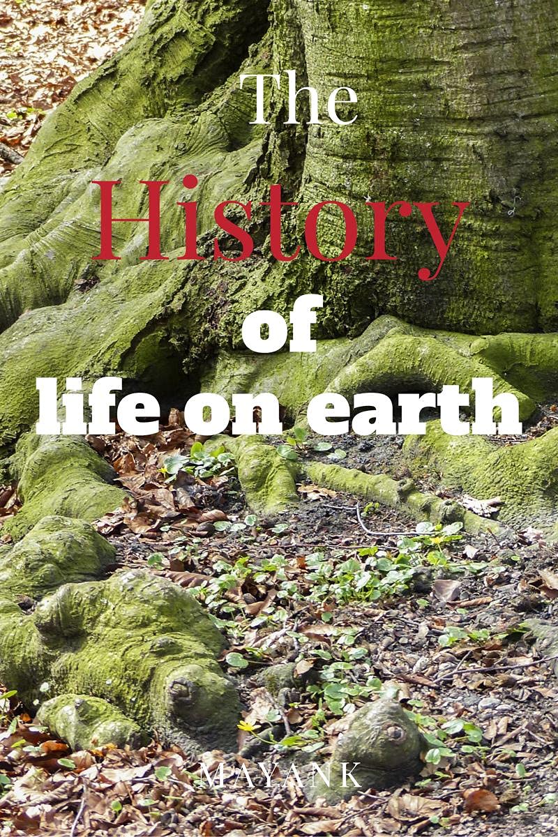 History Of Life On Earth