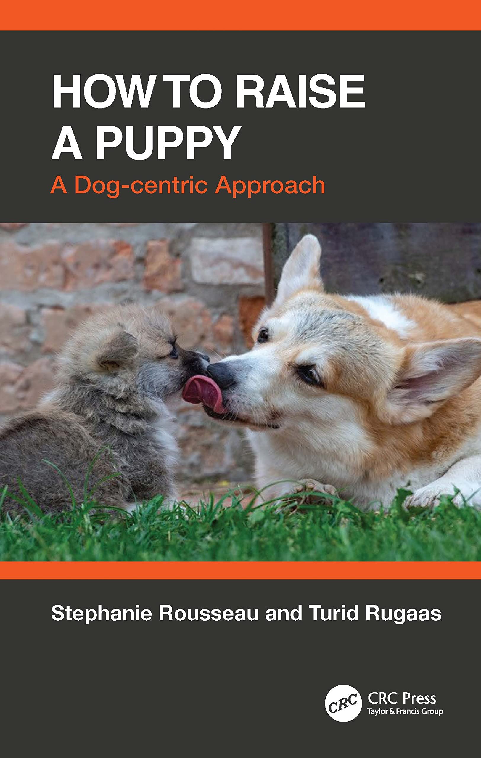 How To Raise A Puppy: A DogCentric Approach