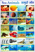 Sea Animals Chart for Kids | 70 x 100 cm | Laminated