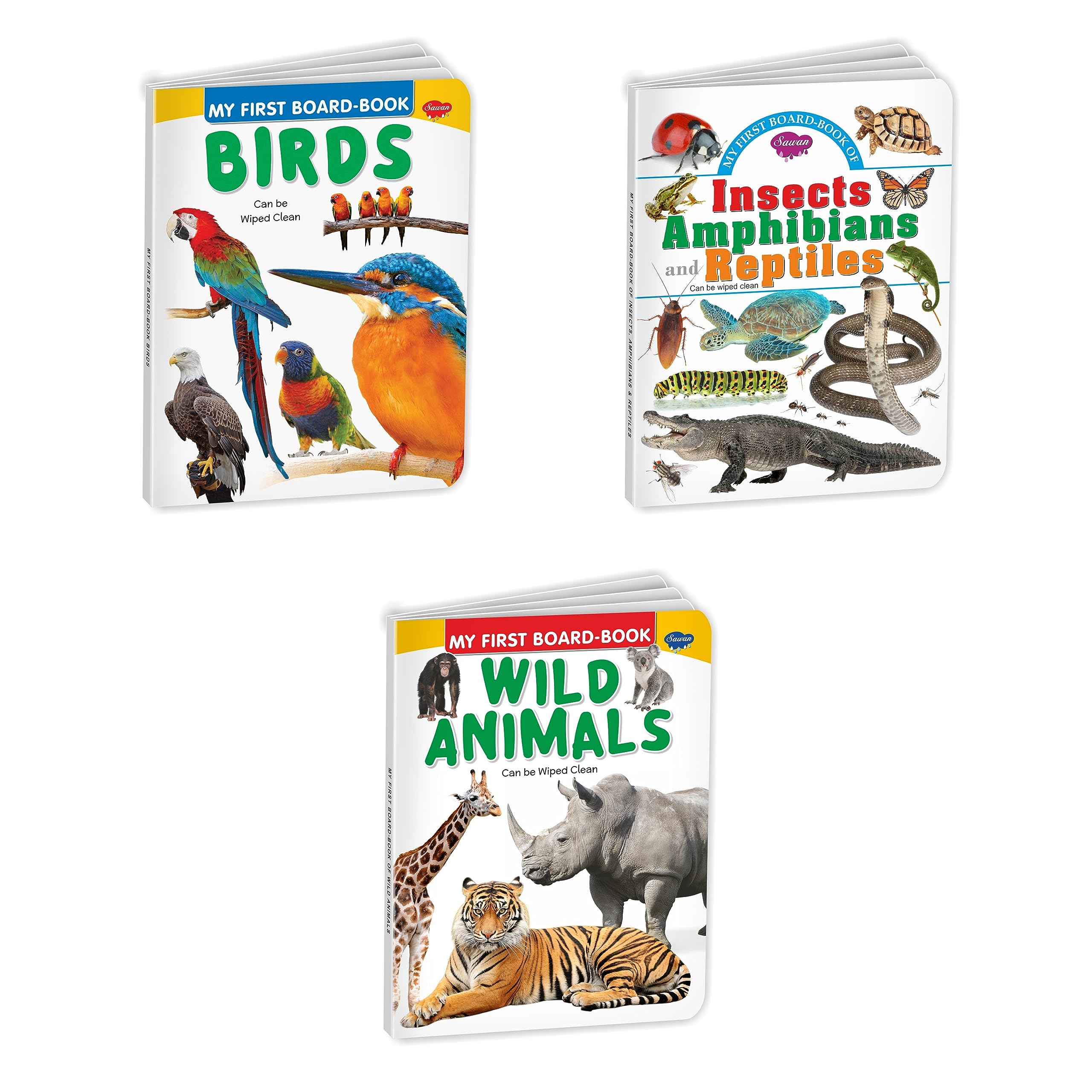 Sawan Set Of 3 Board Books My First Board Book Series (Birds , Insects Amphibians & Reptiles & Wild Animals)