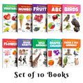 EngHindi Picture Book Collections For Early Learning : Kids learning book, My First Picture Book Collection For Early Learning 