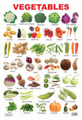 Vegetables Educational Wall Chart For Kids  DoubleSided Hard Laminated Poster With Colourful Vegetable Illustrations, Learn Na