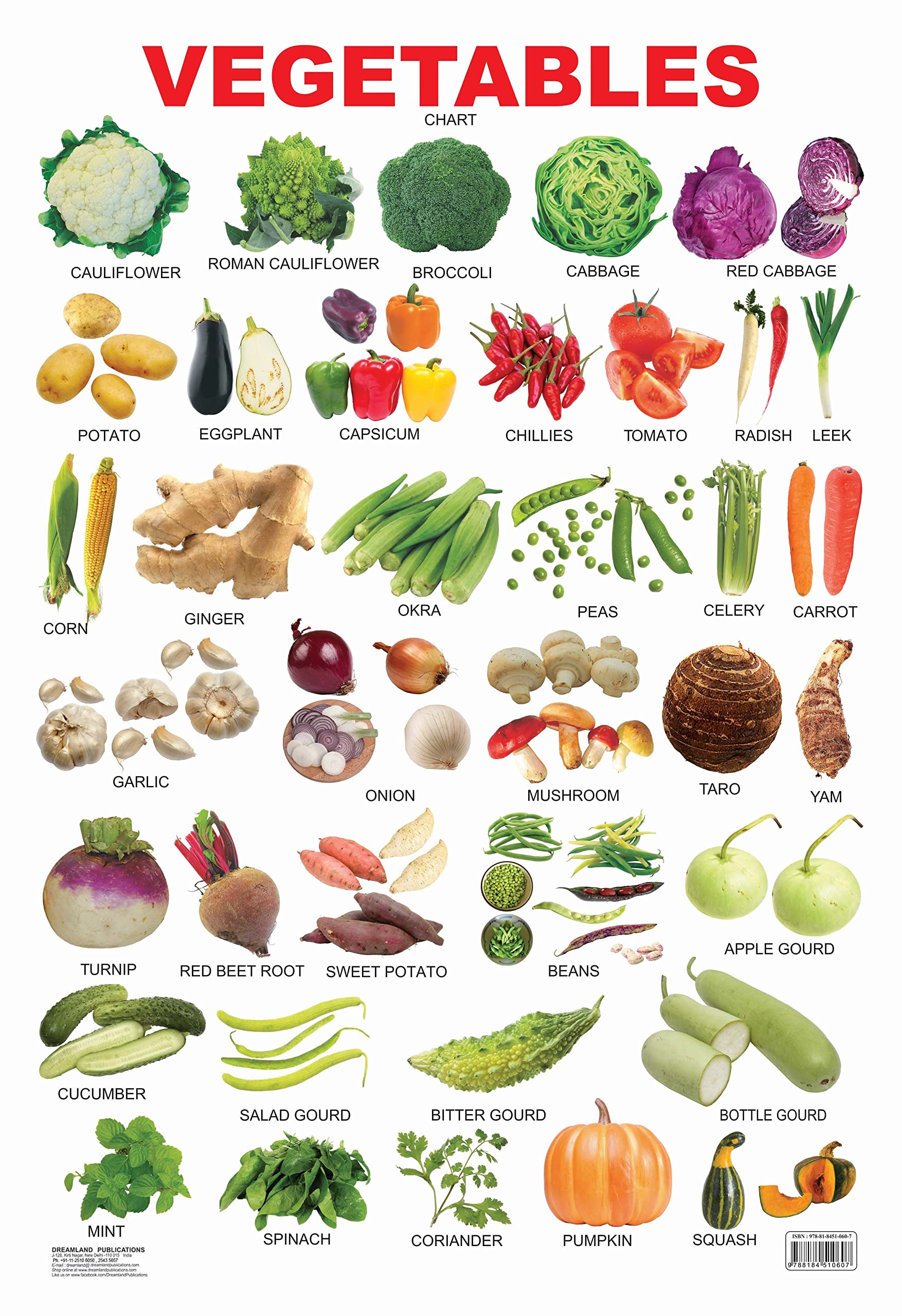 Vegetables Educational Wall Chart For Kids  DoubleSided Hard Laminated Poster With Colourful Vegetable Illustrations, Learn Na