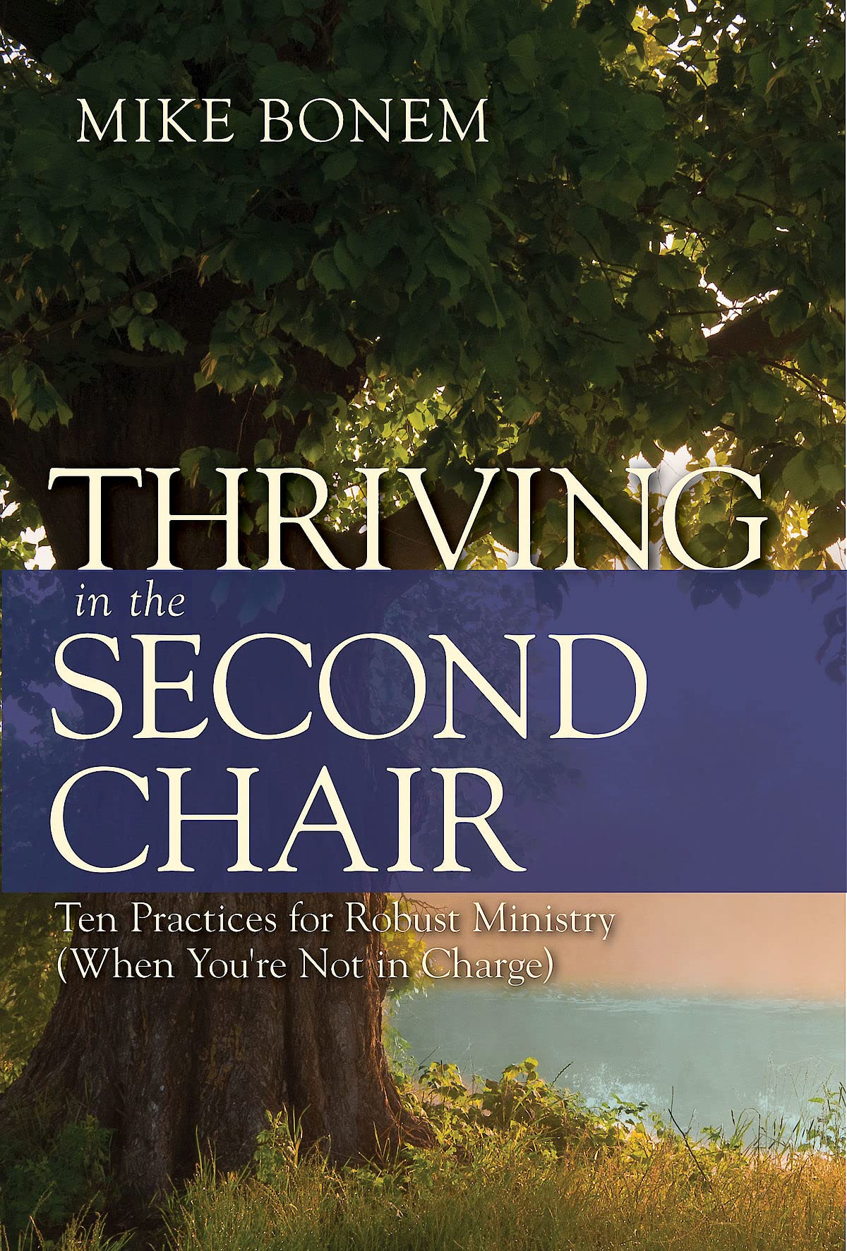 Thriving in the Second Chair: Ten Practices for Robust Ministry  When Youre Not in Charge