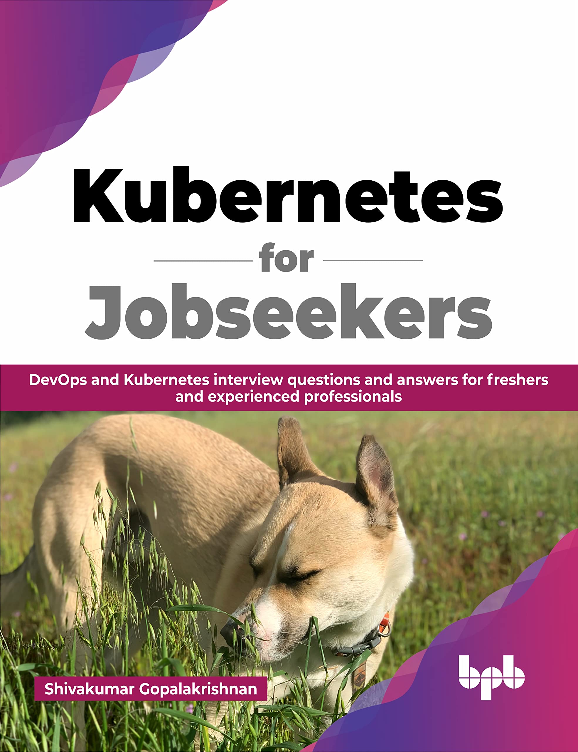 Kubernetes For Jobseekers