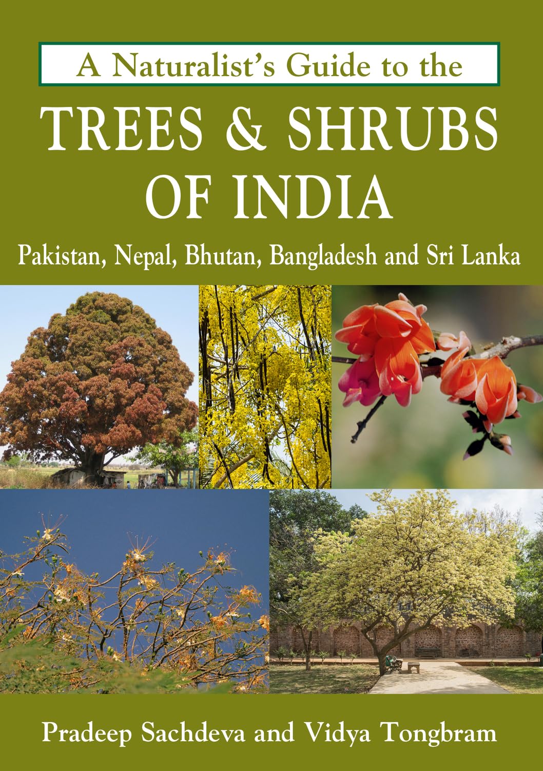 A Naturalists Guide to the Trees & Shrubs of India
