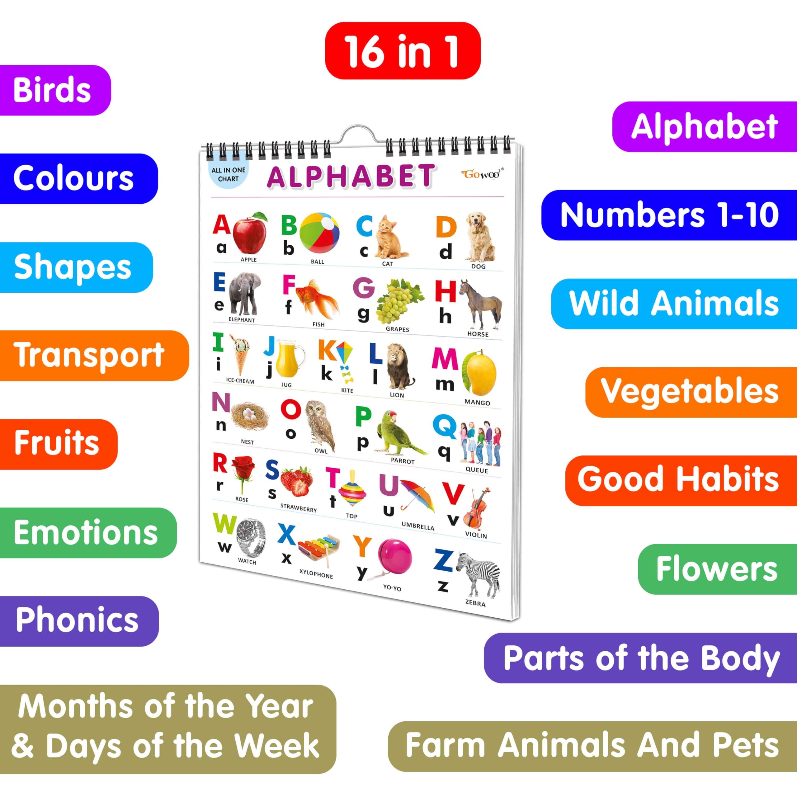 My First ALL IN ONE SPIRAL CHART : Collection of early learning Chart, Preschool Kids Chart, 16 topics Learning Chart for kids