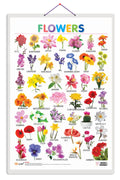 Flowers [Wall Chart] Sawan
