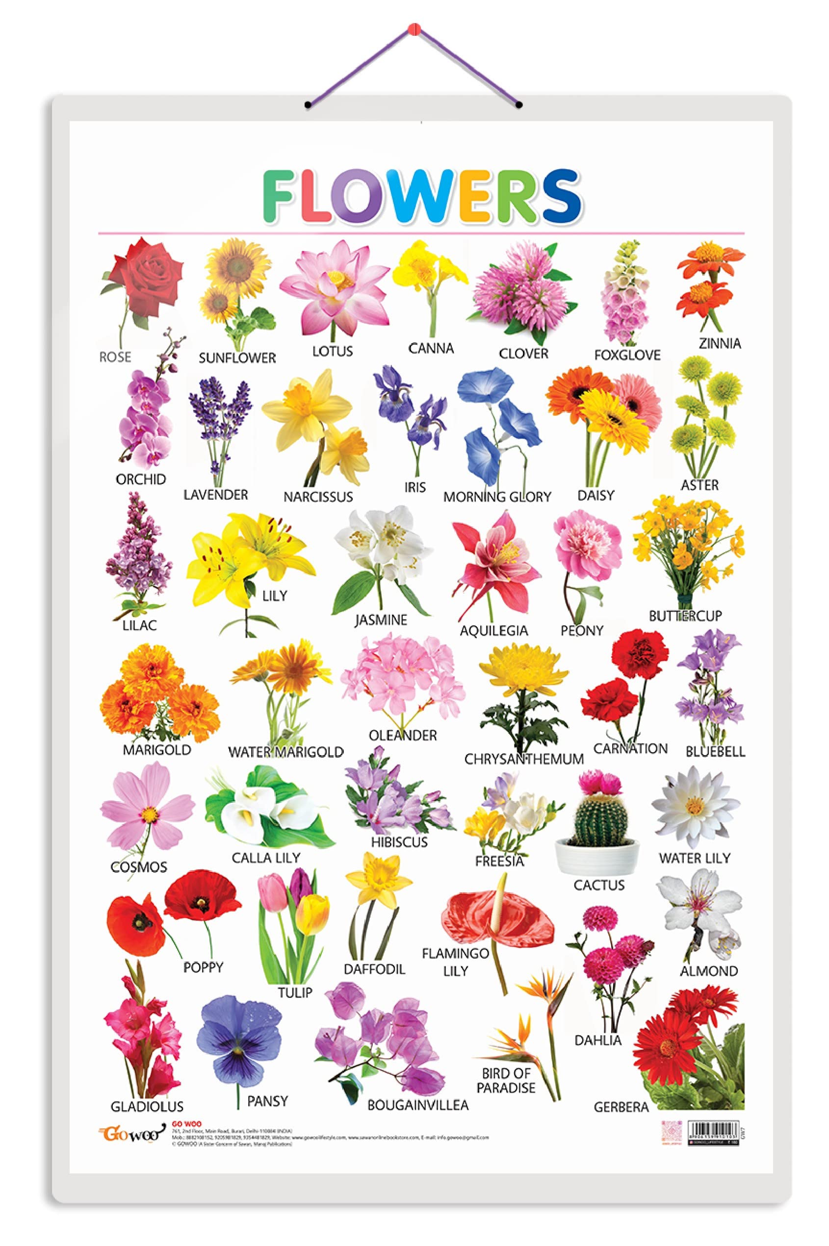 Flowers [Wall Chart] Sawan
