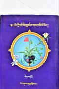 A Clear Mirror of Tibetan Medical Paintings