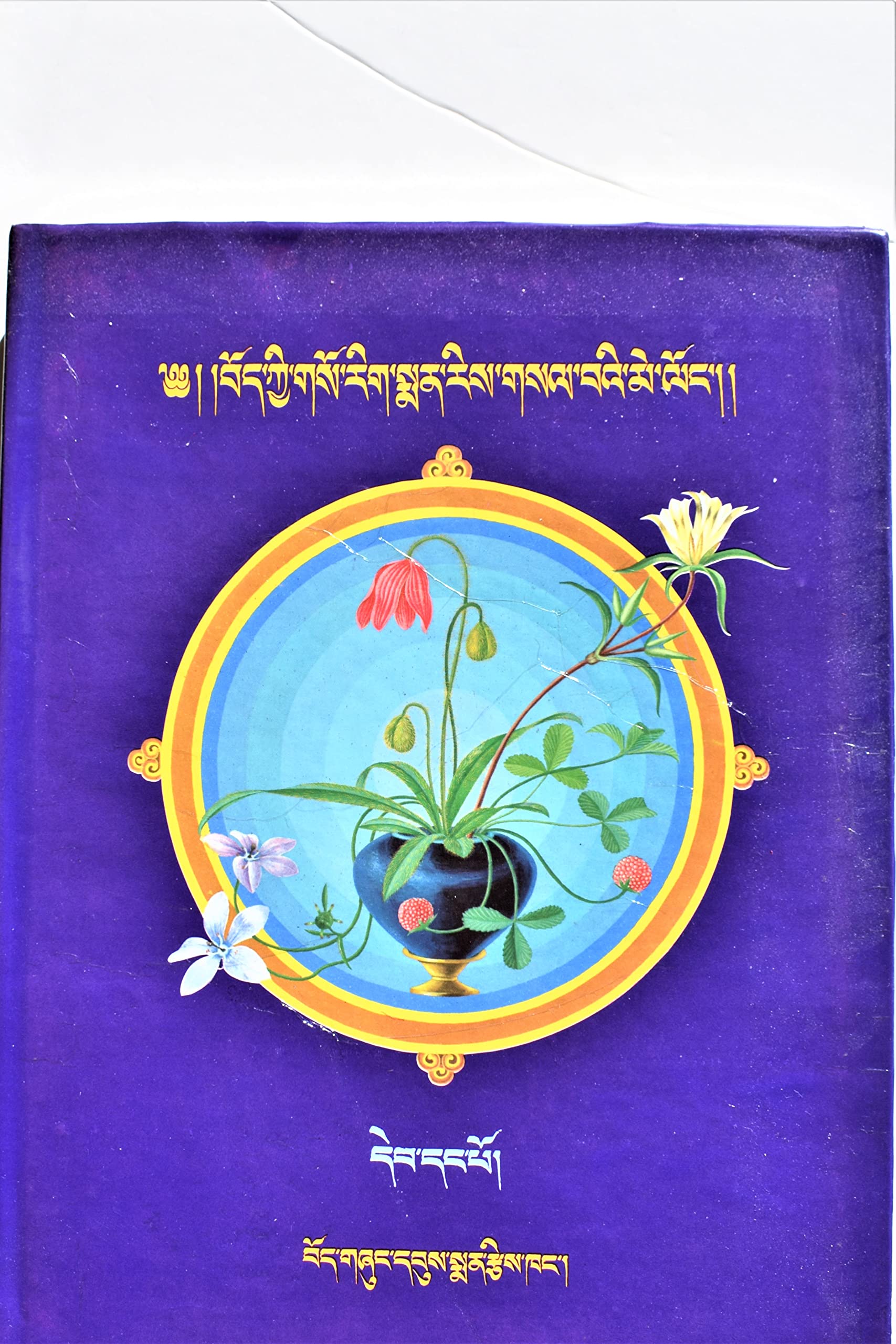 A Clear Mirror of Tibetan Medical Paintings