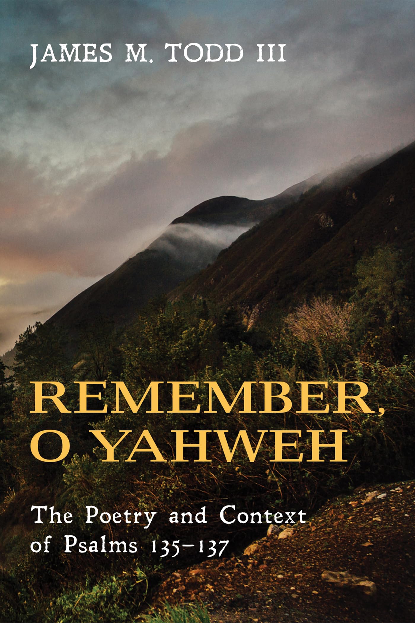 Remember, O Yahweh: The Poetry and Context of Psalms 135137