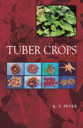Tuber Crops
