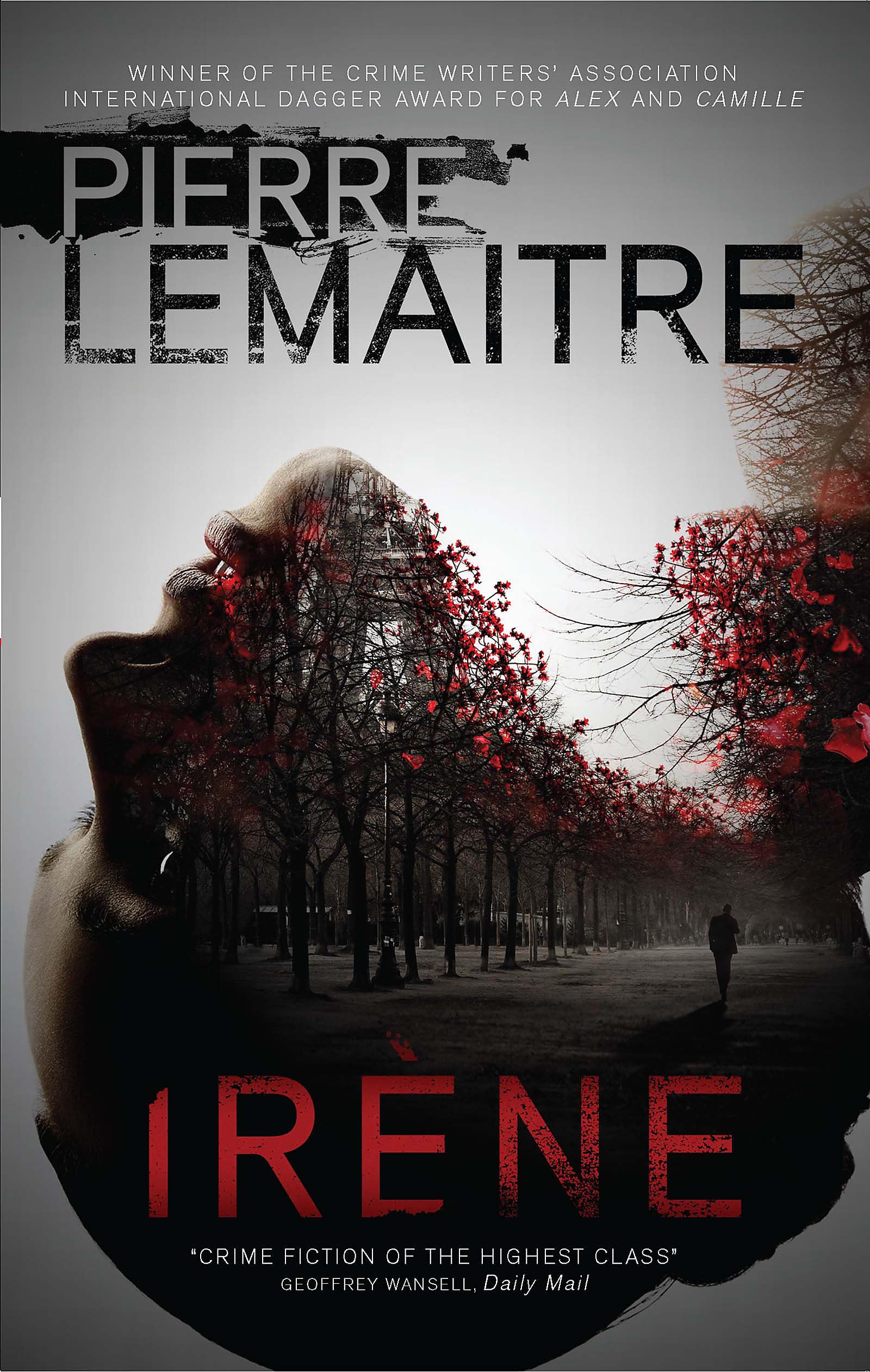 Irne: The Commandant Camille Verhoeven Trilogy (The Commandant Camille Verhoeven Trilogy, 2)