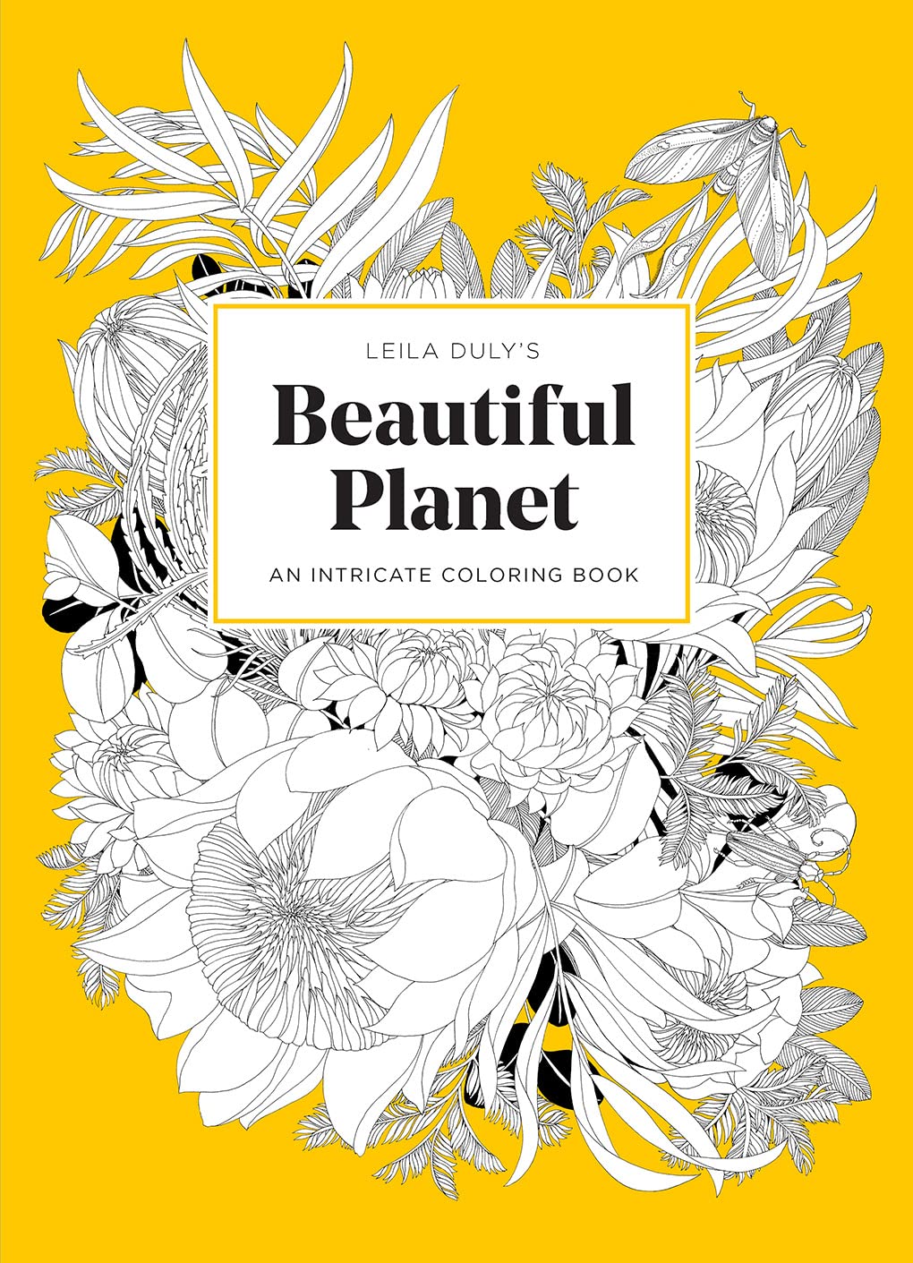 Leila Dulys Beautiful Planet: An Intricate Coloring Book