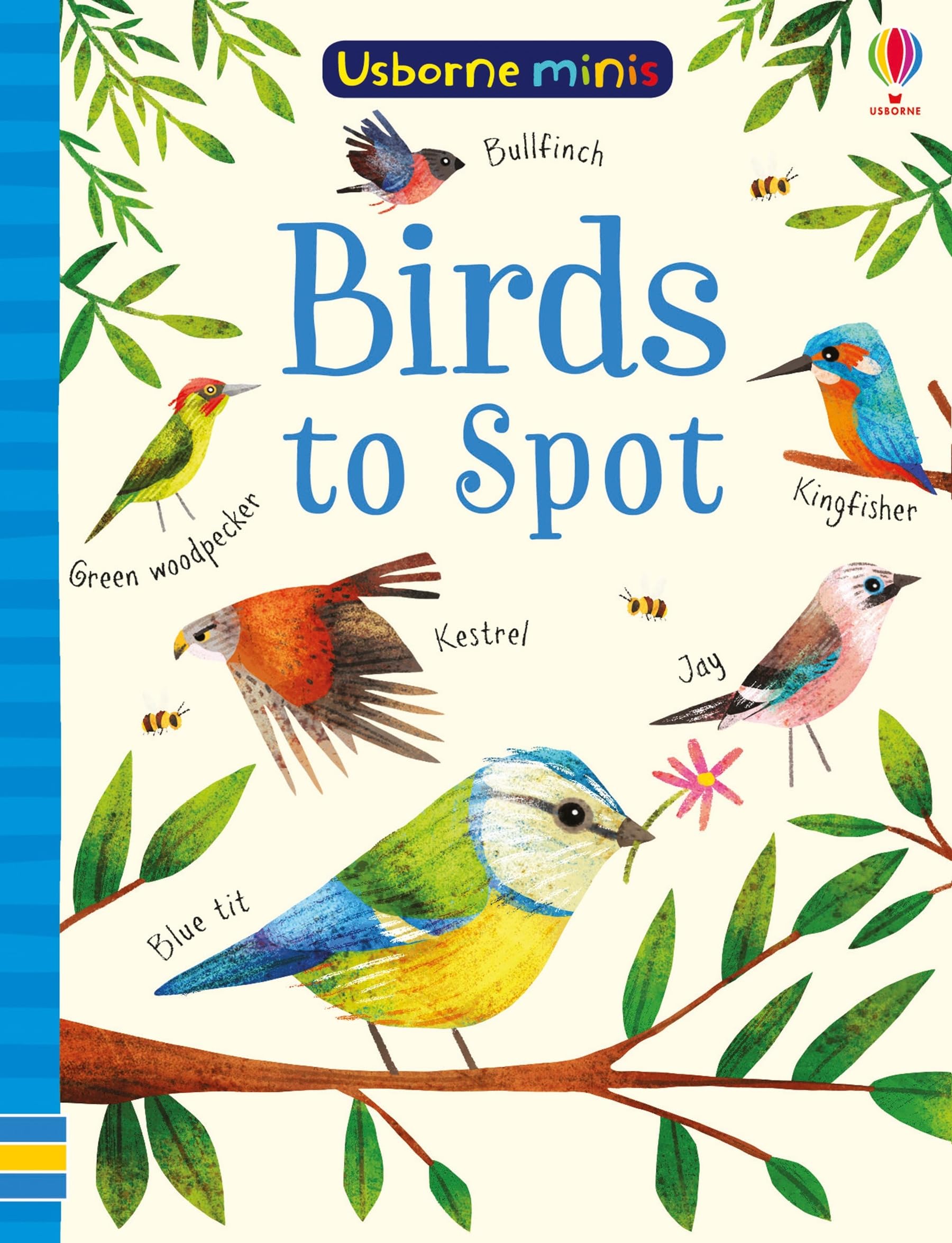 Birds to Spot  Mini book
