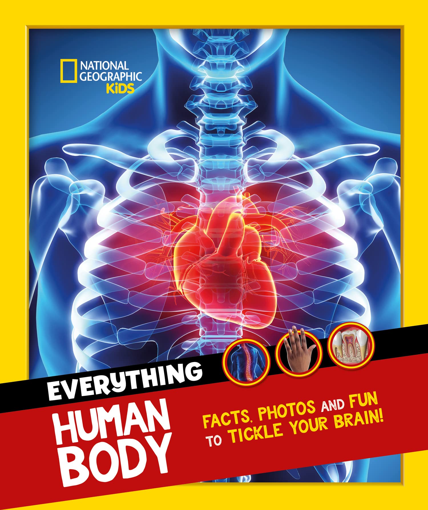 Everything: Human Body: EyeOpening Facts and Photos to Tickle Your Brain!