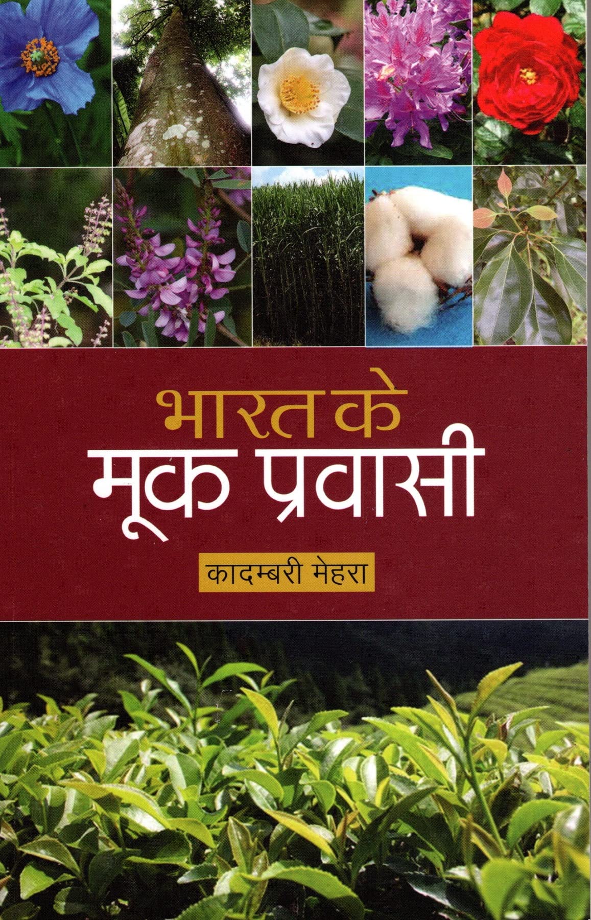 BHARAT KE MOOK PRAVASI