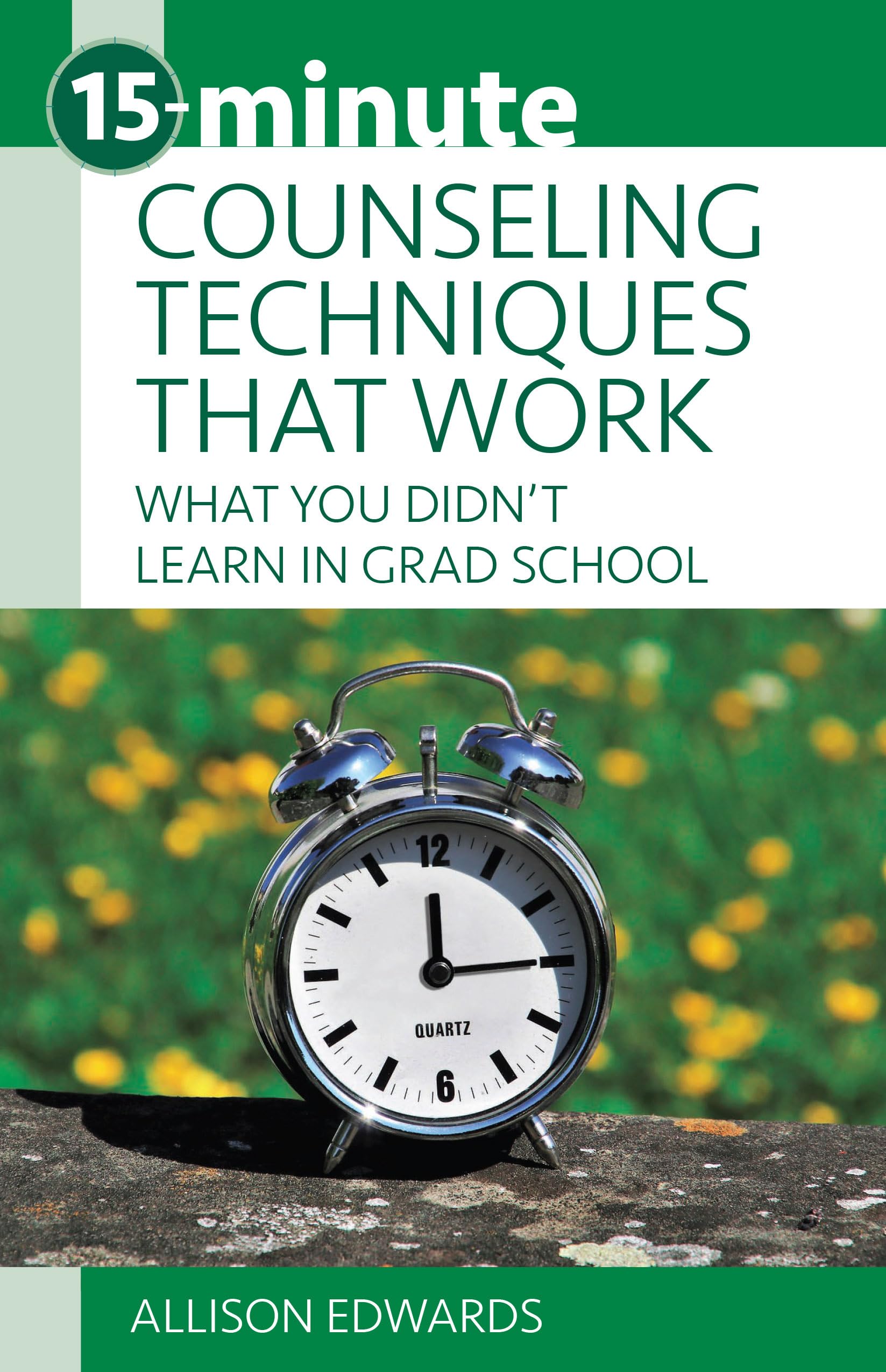 15Minute Counseling Techniques that Work: What You Didnt Learn in Grad School