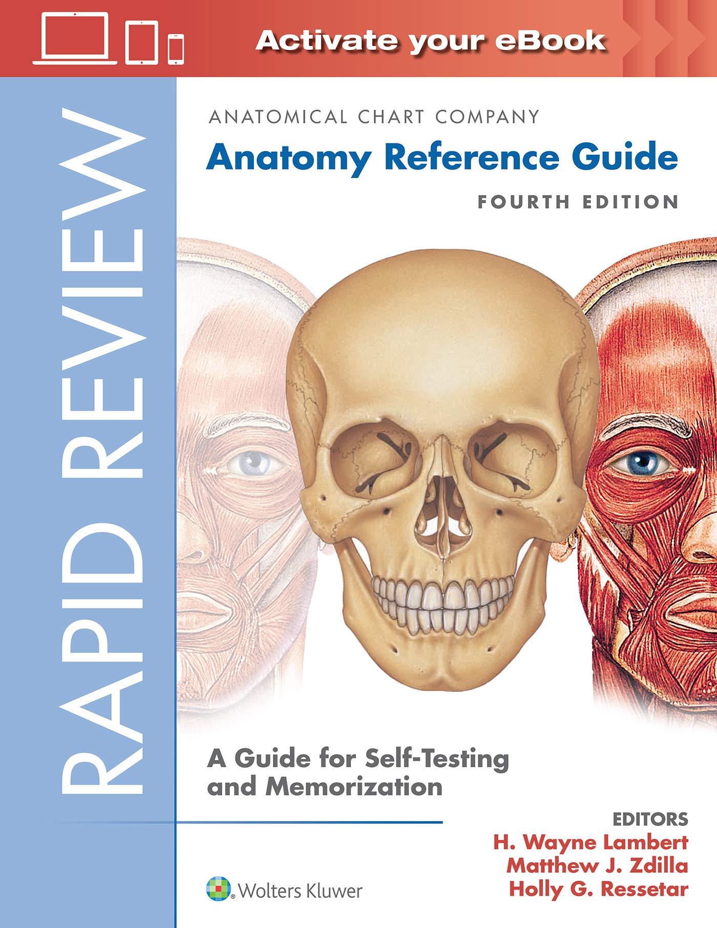 Rapid Review: Anatomy Reference Guide: A Guide for SelfTesting and Memorization