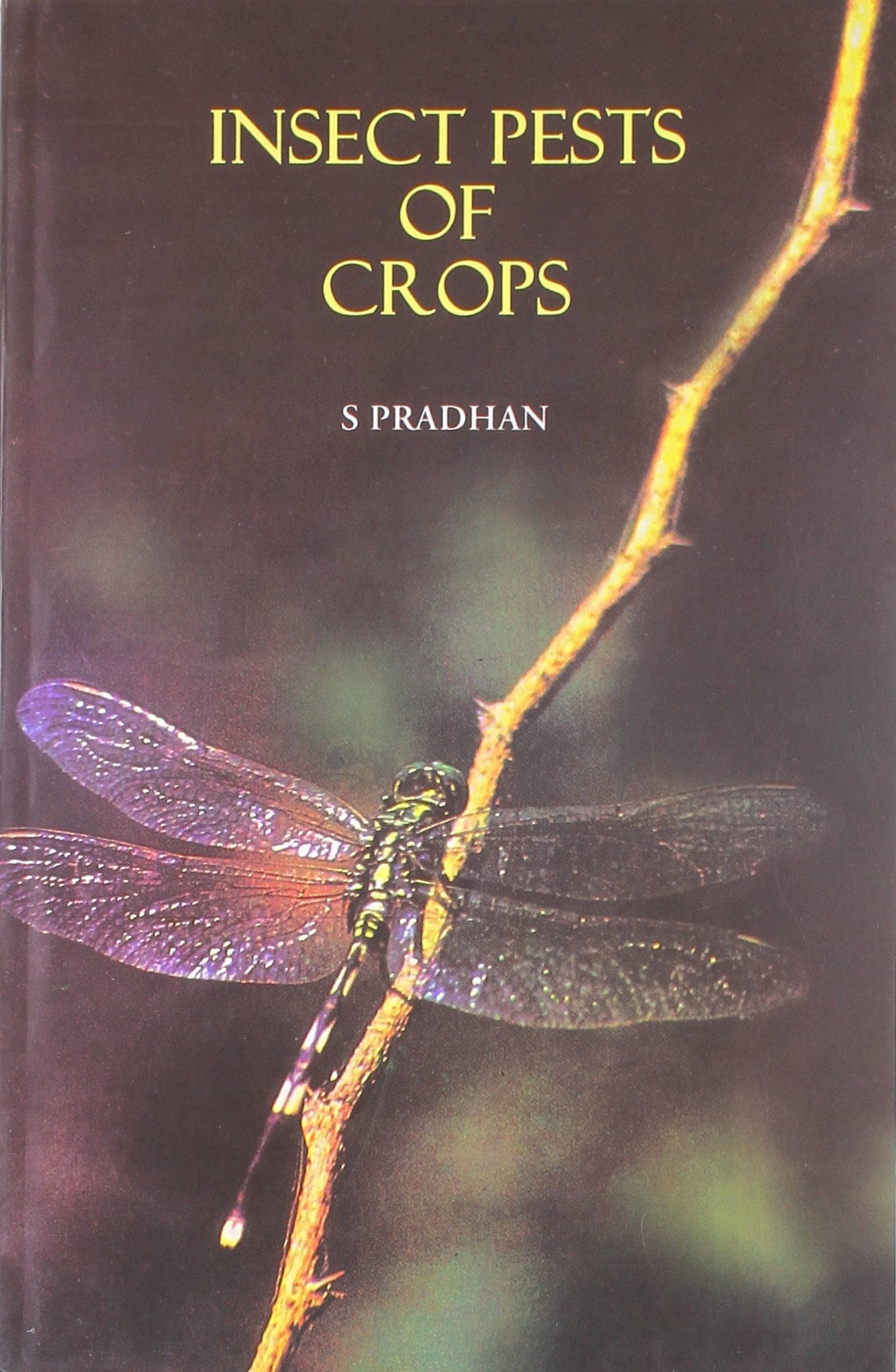 Insect Pests or Crops