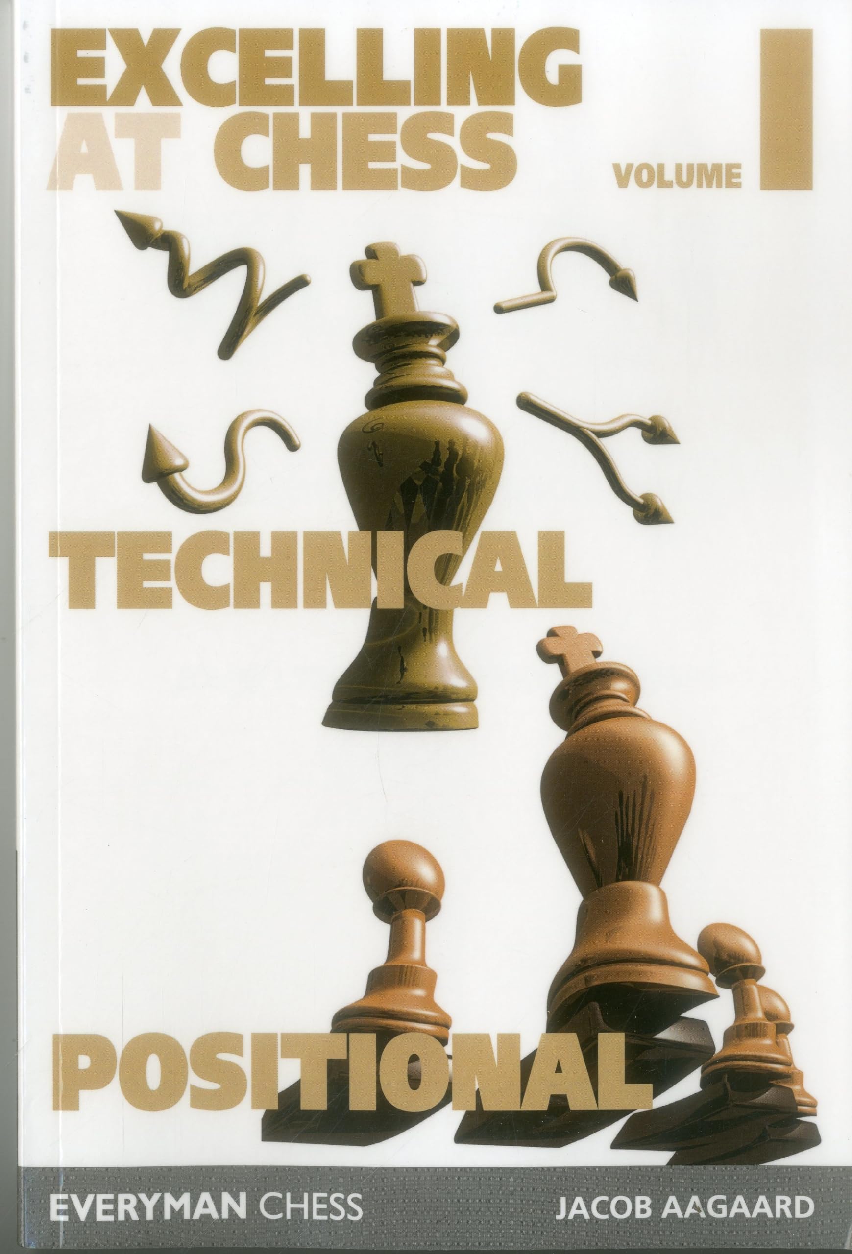 Excelling at Chess: Technical and Positional (Volume 1)