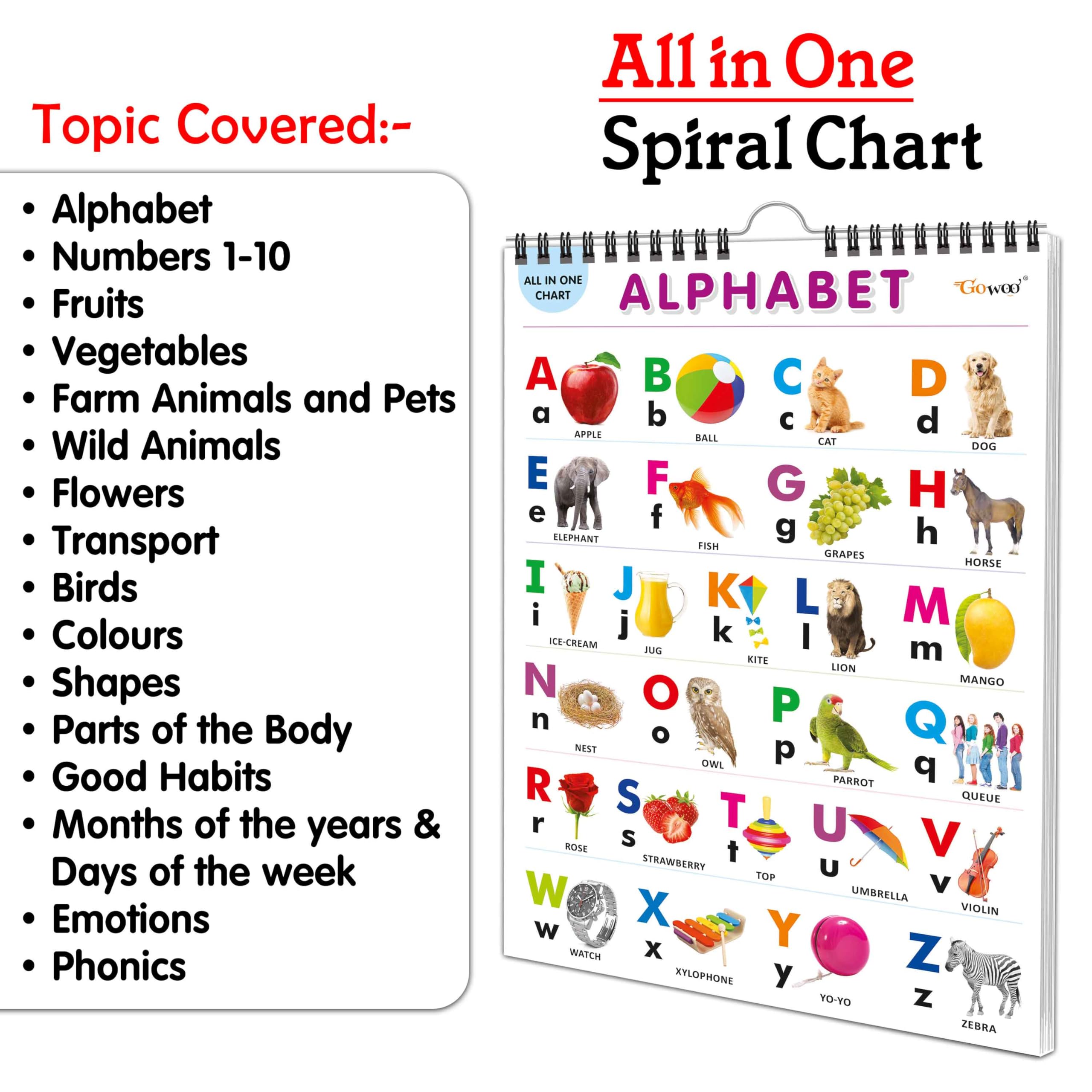 My First ALL IN ONE SPIRAL CHART : With 16 Topics : Alphabet, Numbers 110, Shapes, Colours, Flowers, Fruits, Vegetables, Wild A