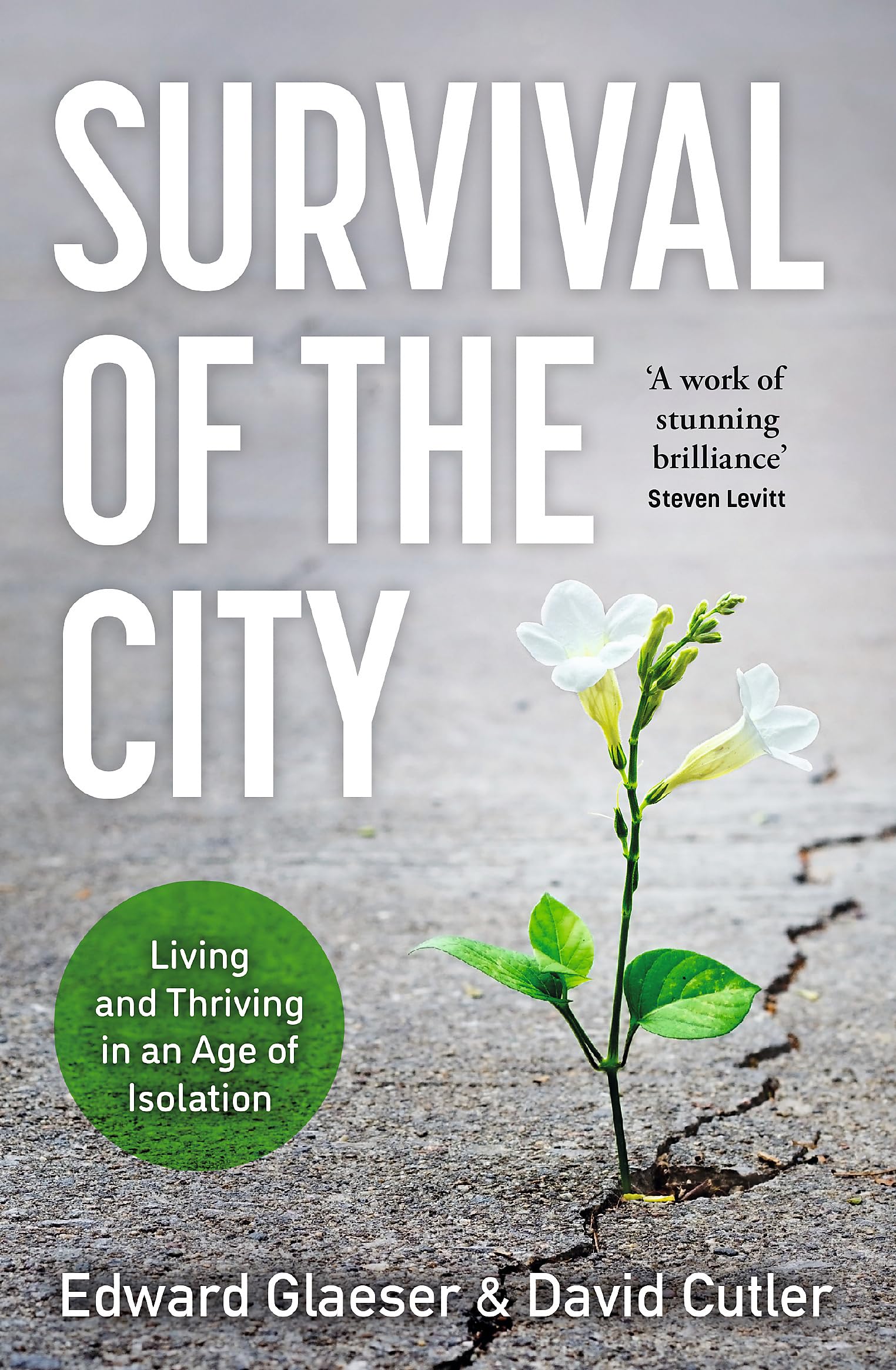 Survival Of The City