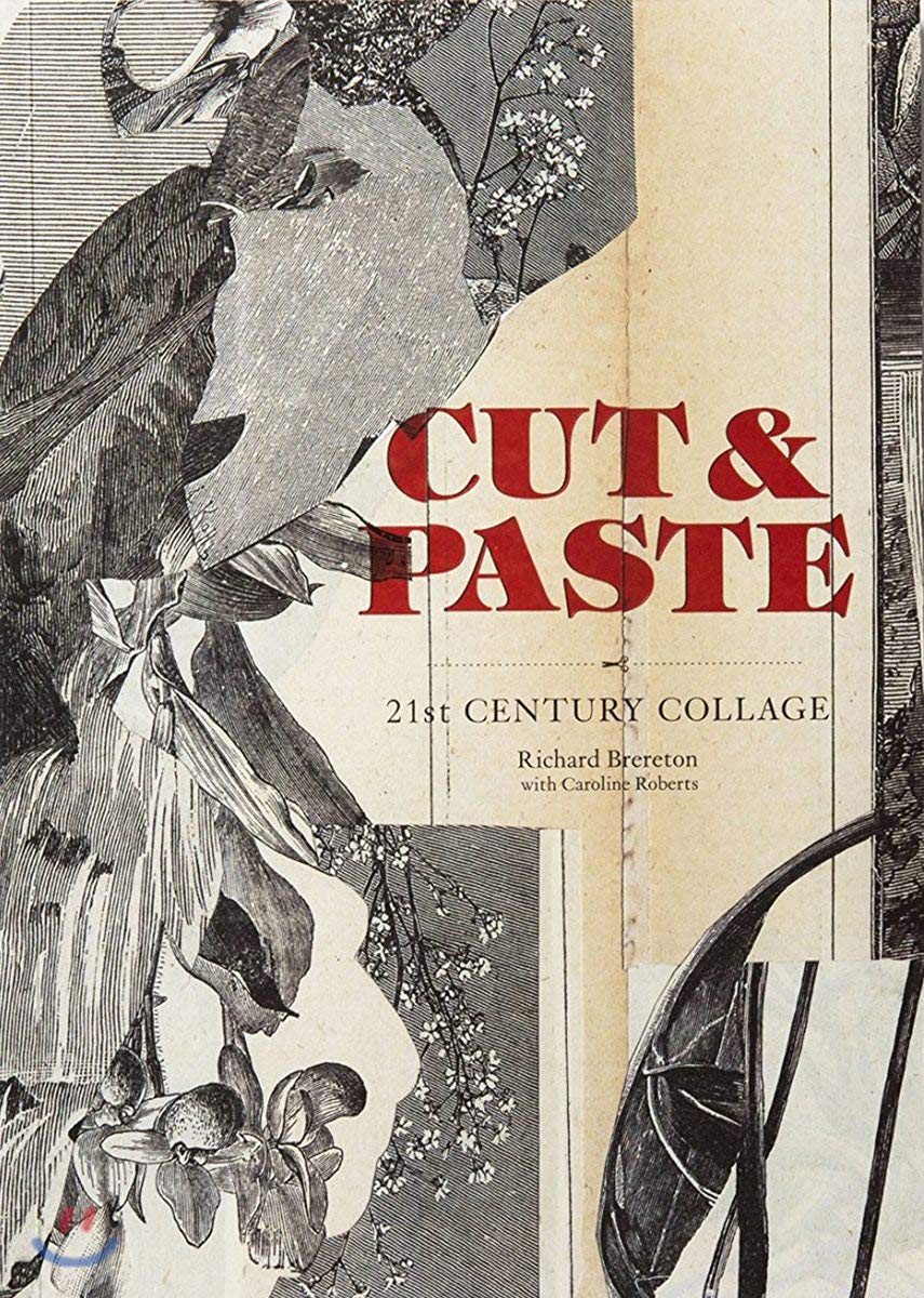 Cut & Paste (paperback): 21stCentury Collage