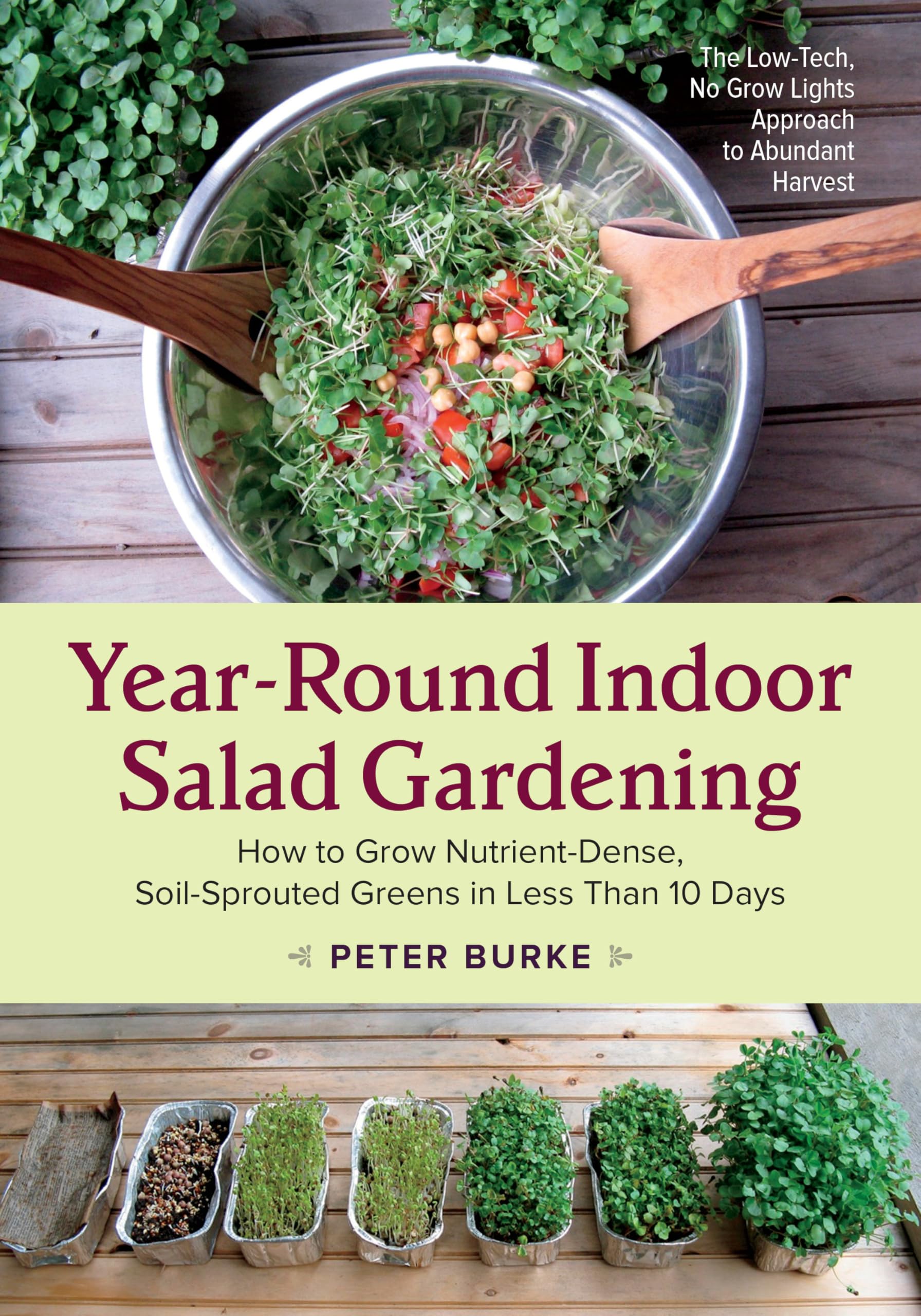 YearRound Indoor Salad Gardening: How to Grow NutrientDense, SoilSprouted Greens in Less Than 10 days