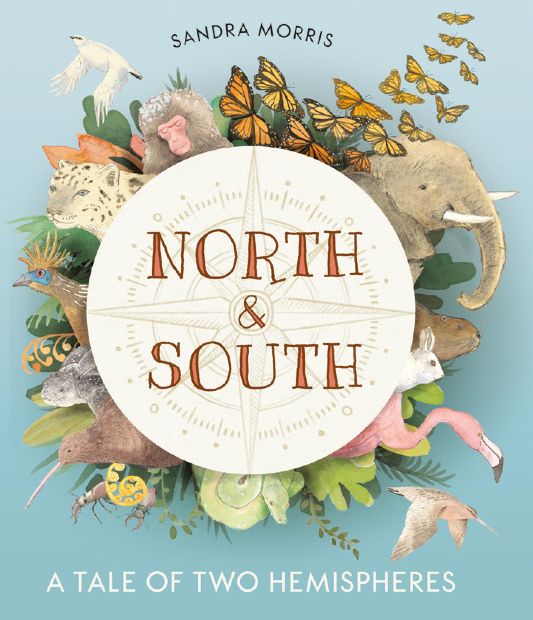 North And South: A Tale Of Two Hemispheres