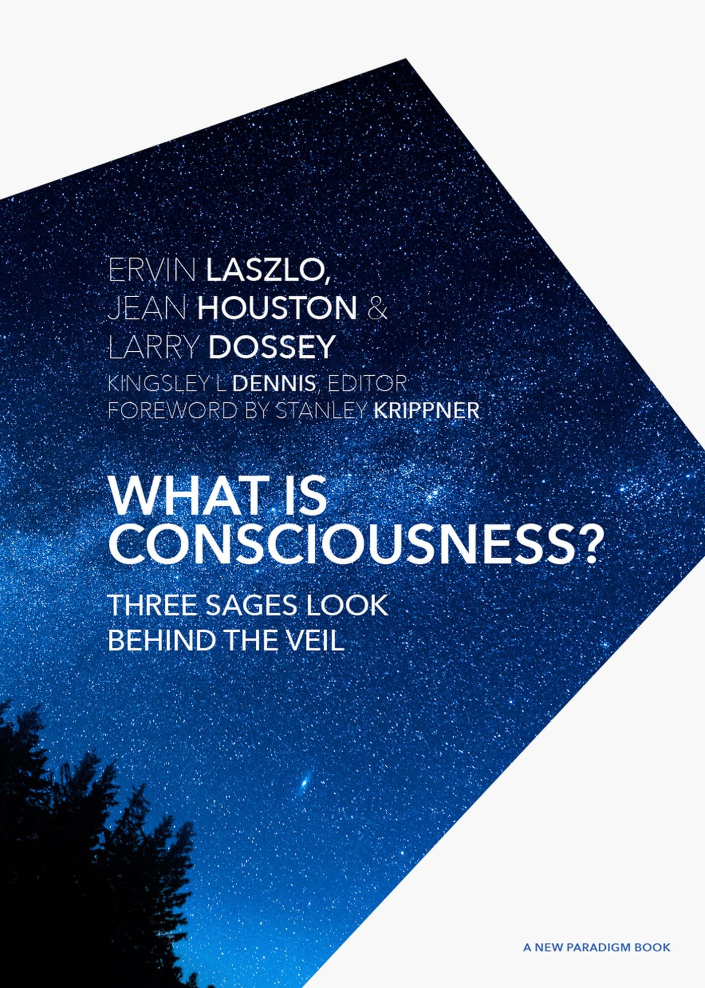 What is Consciousness?: Three Sages Look Behind the Veil (A New Paradigm Book)