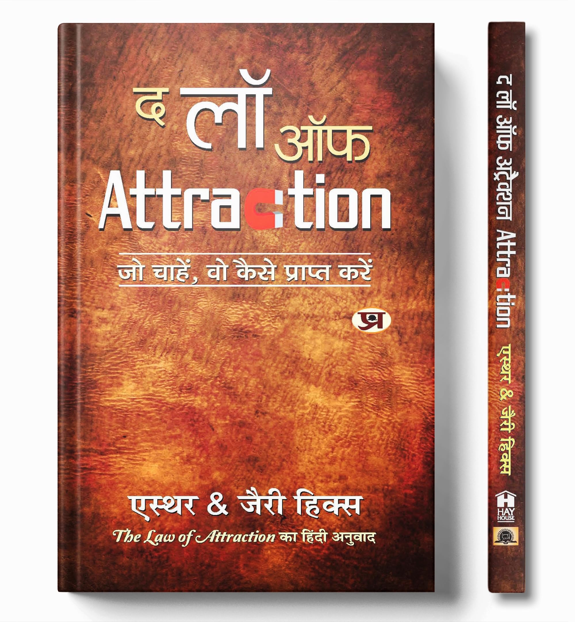 The Law of Attraction (Hindi Edition)