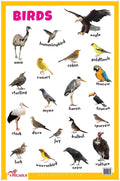 Birds  Thick Laminated Primary Chart
