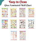 Alphabet, Fruits, Vegetables, Animals, Birds, Body Parts, Numbers, Hindi Varnmala, Shapes &Colours and FlowersGloss Lamination 