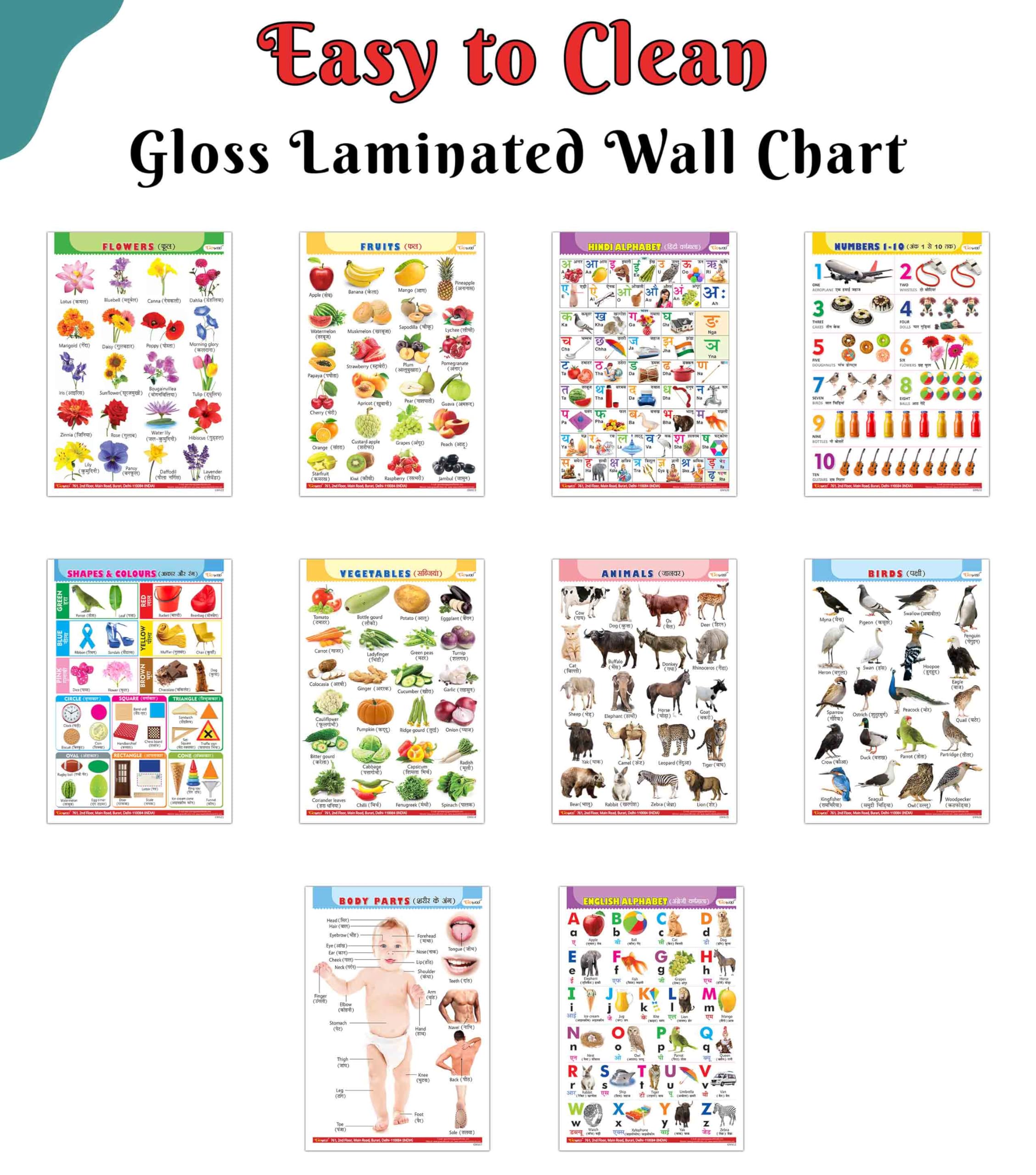 Alphabet, Fruits, Vegetables, Animals, Birds, Body Parts, Numbers, Hindi Varnmala, Shapes &Colours and FlowersGloss Lamination 