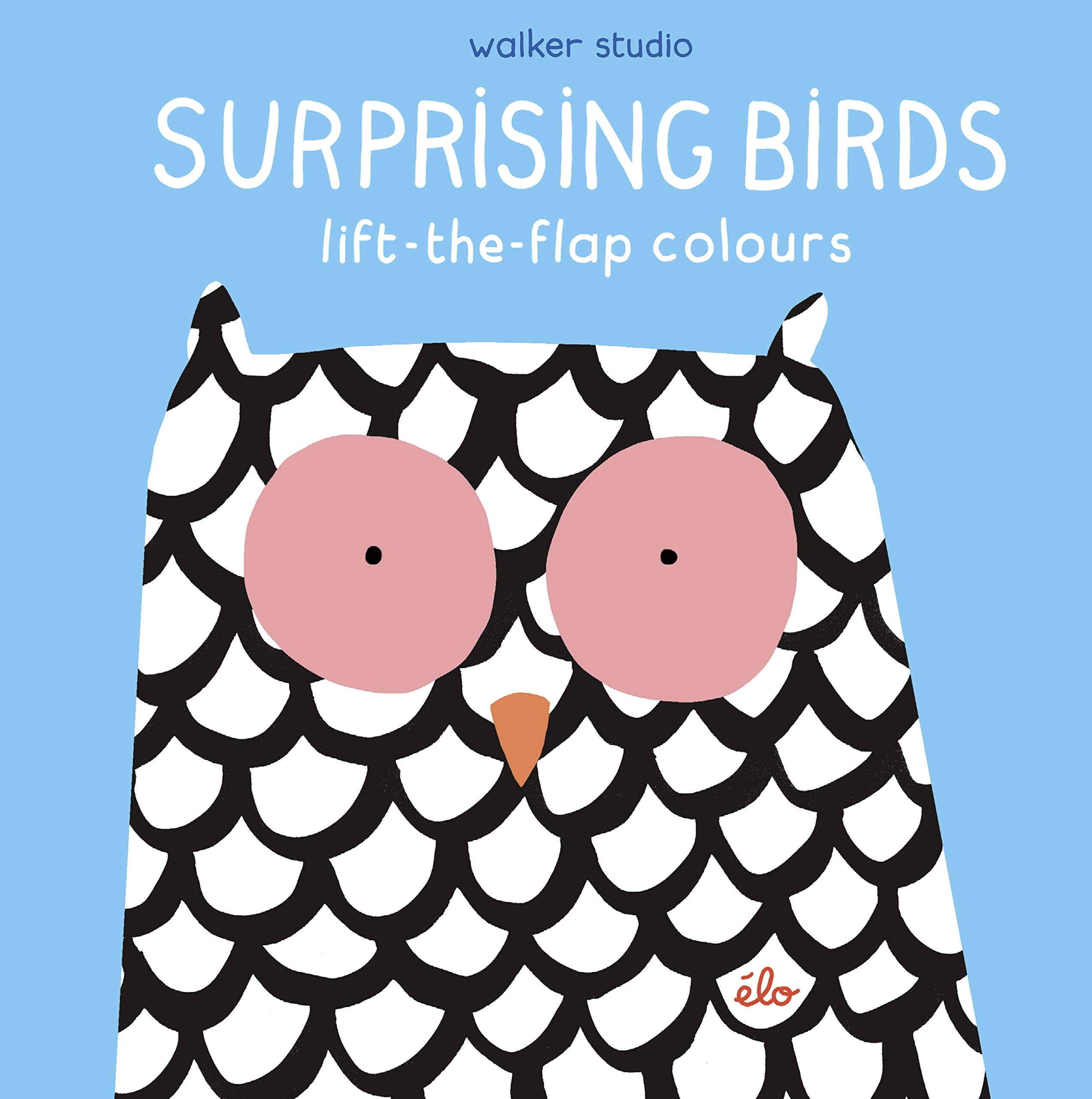 Surprising Birds: LifttheFlap Colours (Walker Studio)