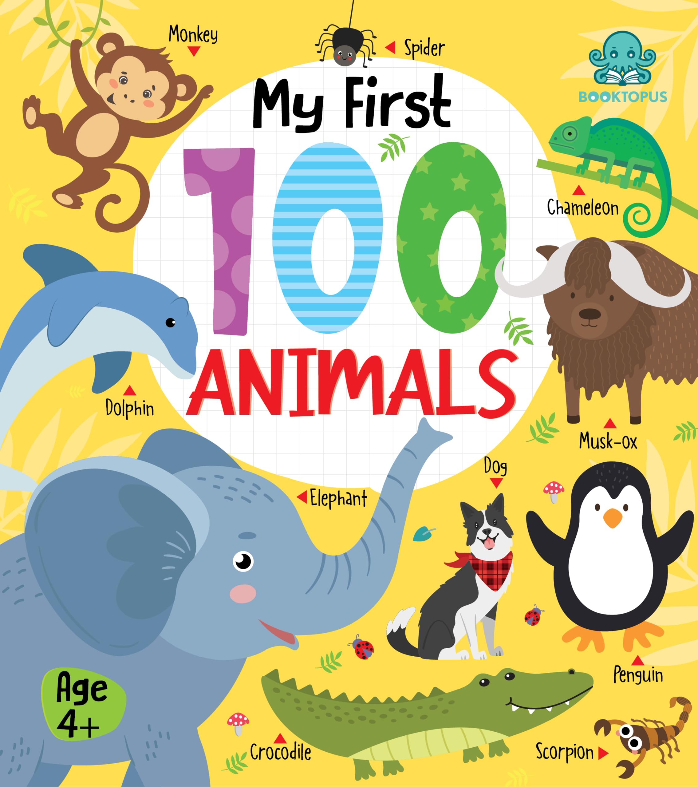 Booktopus Board Book  My First 100 Animals  Early Learning Books For Kids  Picture Books For Baby 4+ Years (My First 100 Boar
