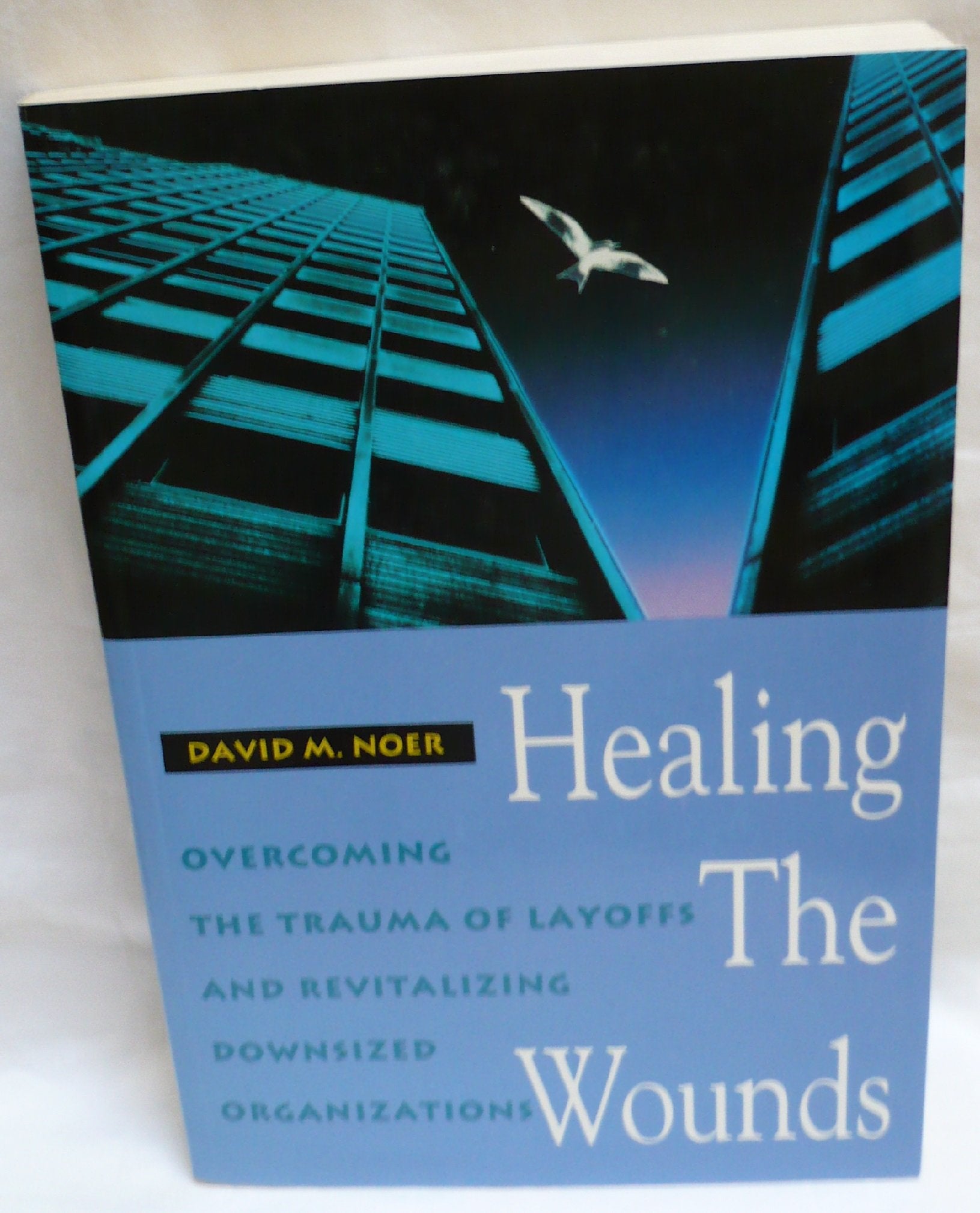 Healing The Wounds: Overcoming The Trauma Of Layoffs And Revitalizing Downsized Organizations (Jossey Bass Business & Management