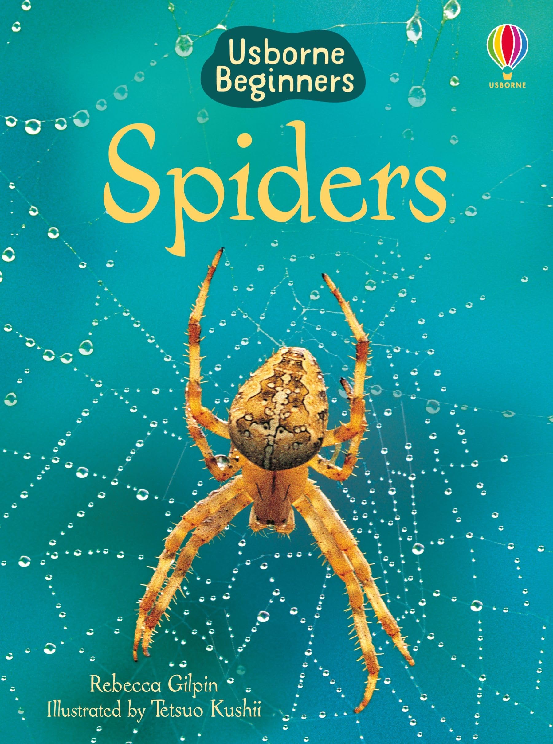 Spiders (Usborne Beginners) (Usborne Beginners) [Hardcover] [Jan 01, 2012] Rebecca Gilpin Rebecca Gilpin (Beginners Series)