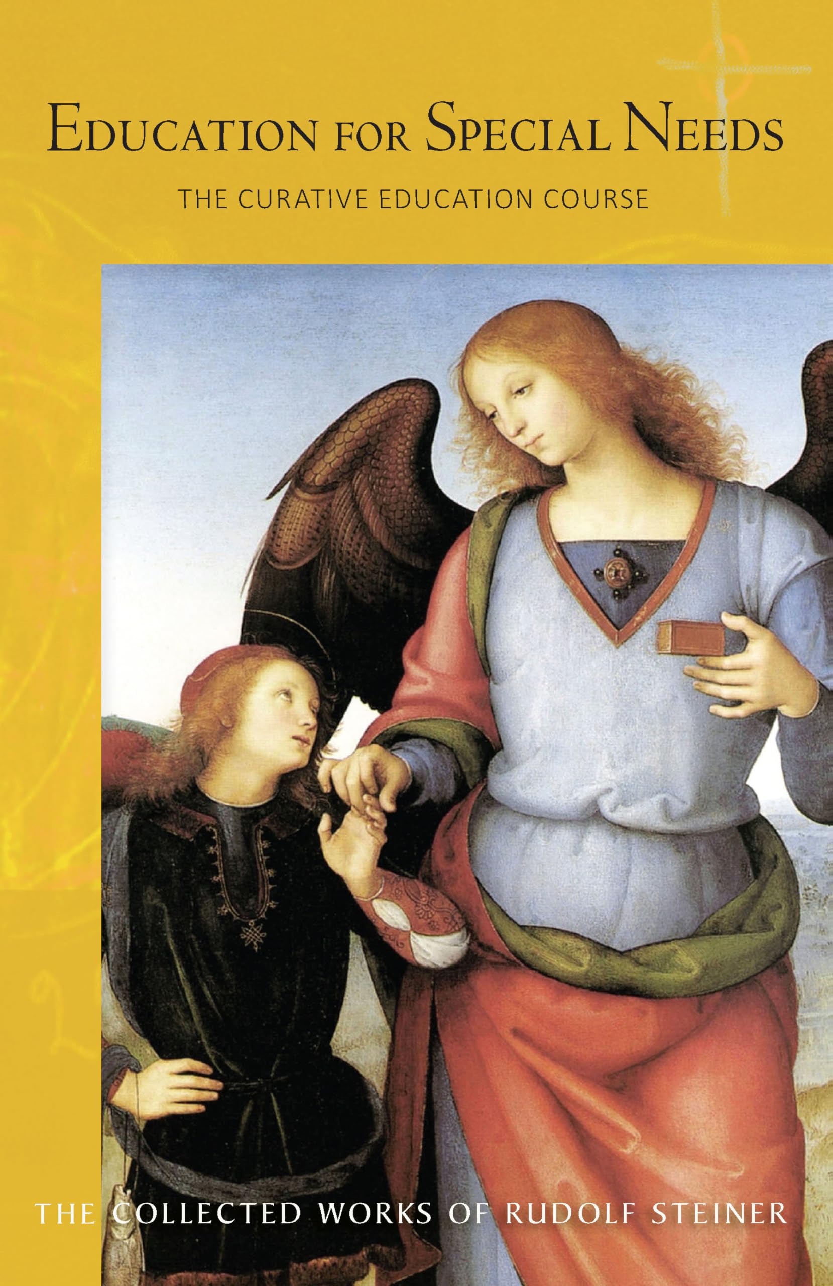Education for Special Needs: The Curative Education Course (CW 317) (Volume 317) (The Collected Works of Rudolf Steiner)