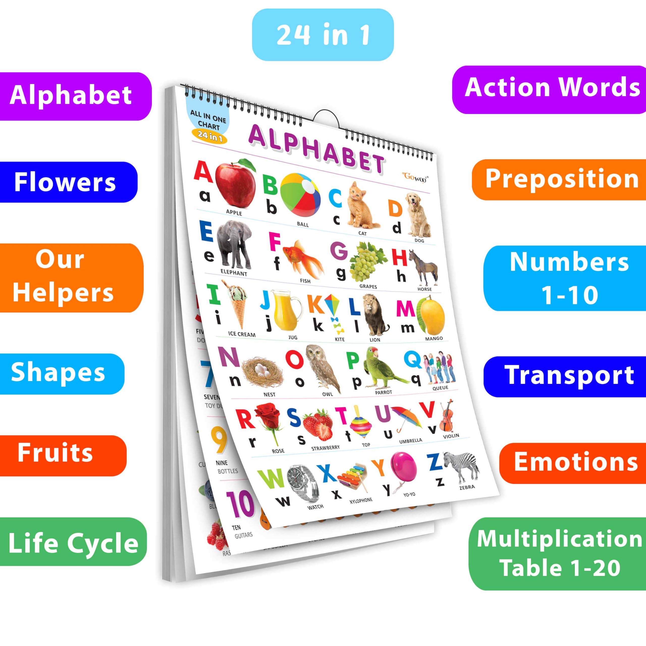 My First ALL IN ONE SPIRAL CHART : Learning Chart book for kids, Educational Chart for toddlers, Collection With 24 Topics, birt