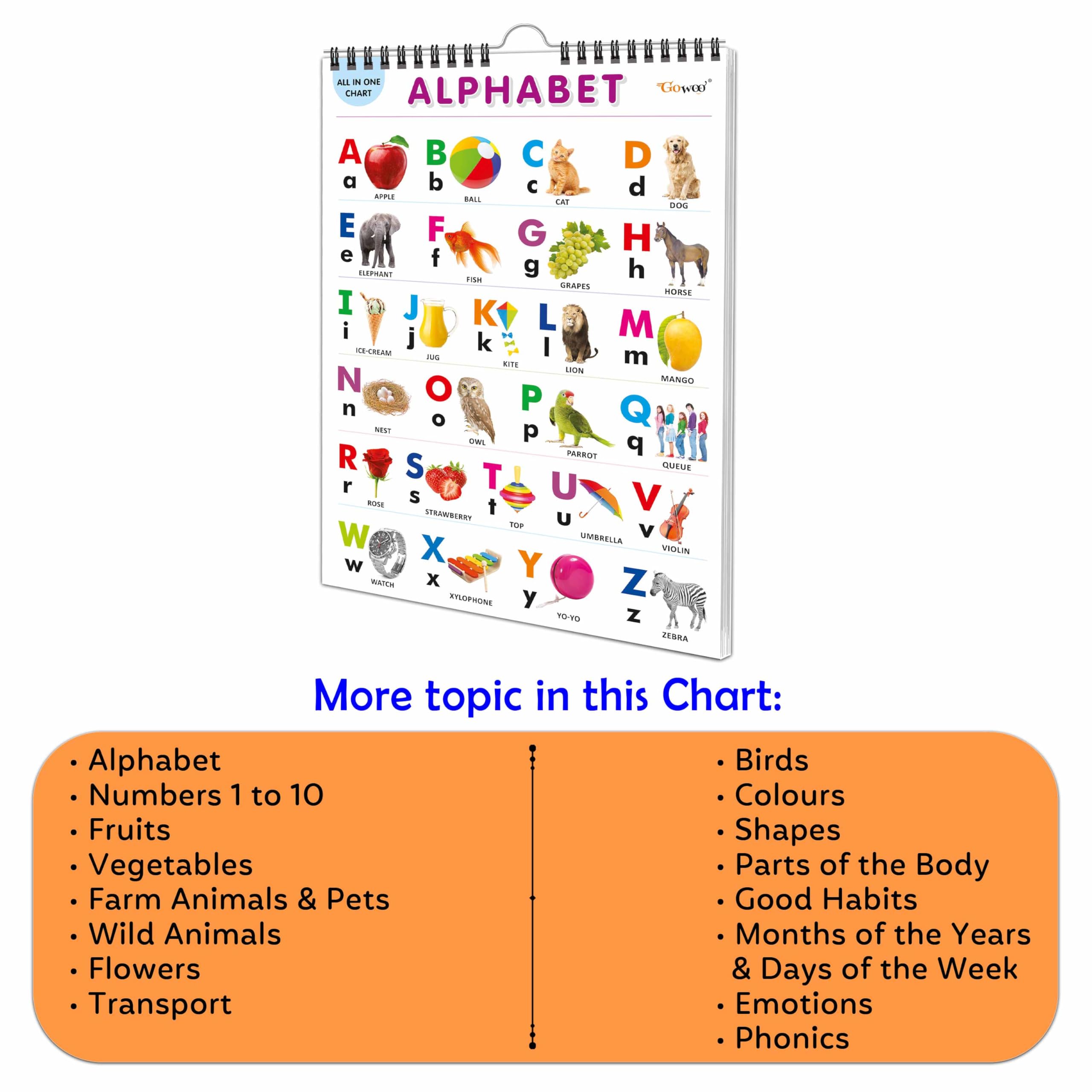 Chart Book Collections For Early Learning : Kids learning Chart book, My First ALL IN ONE SPIRAL CHART Kids Chart book collect