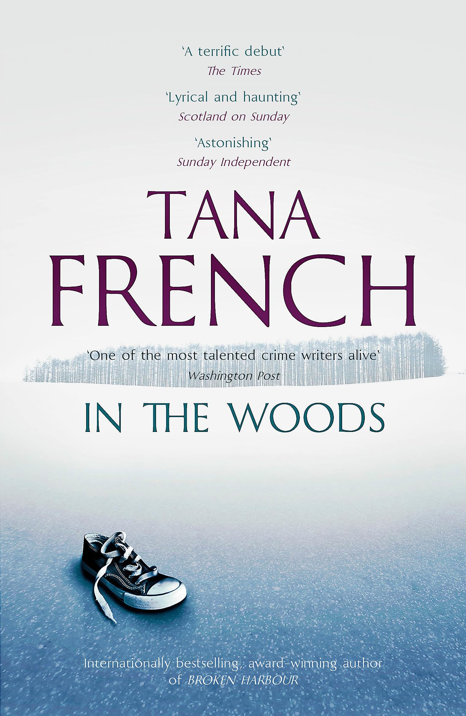 In the Woods: Dublin Murder Squad: 1. Winner of the Edgar, Anthony, Barry, Macavity and the IVCA Clarion awards